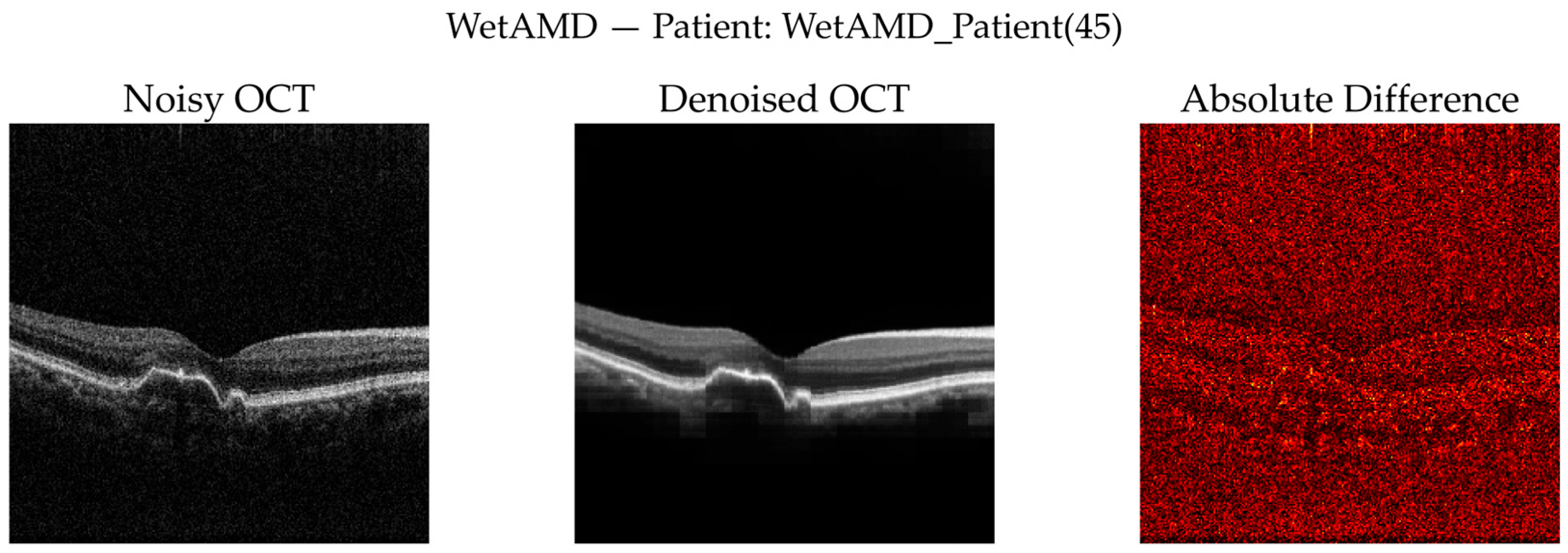 Diagnostics 16 00420 g012