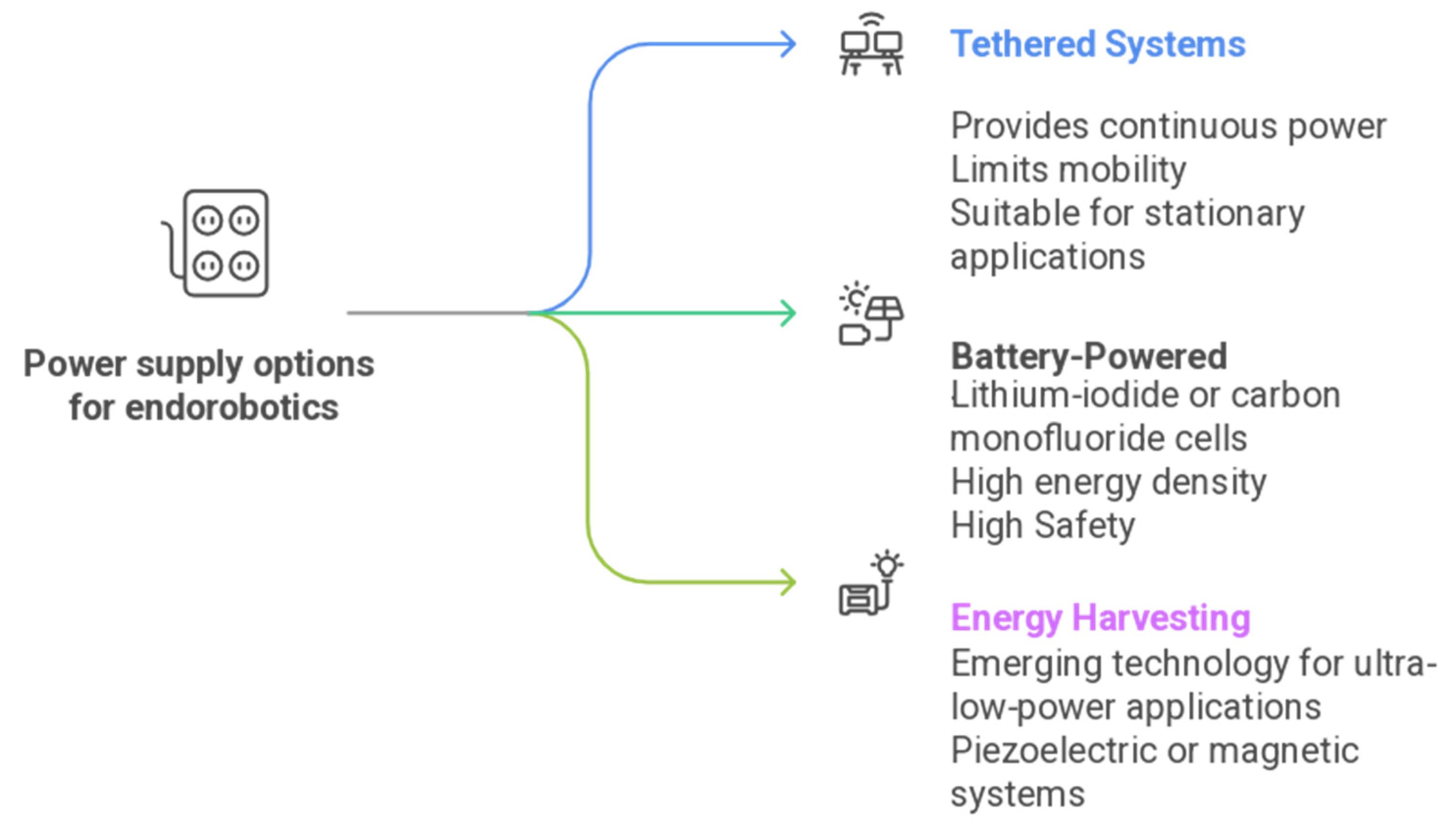 Diagnostics 16 00421 g004 Diagnostics 16 00421 g004