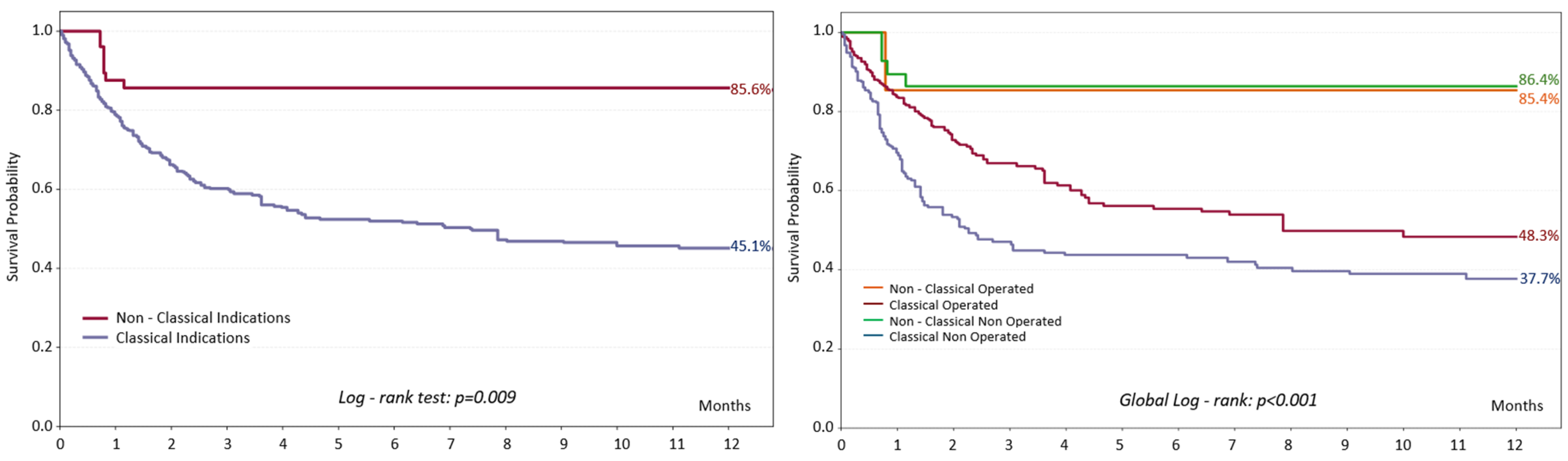 Diagnostics 16 00426 g002 Diagnostics 16 00426 g002