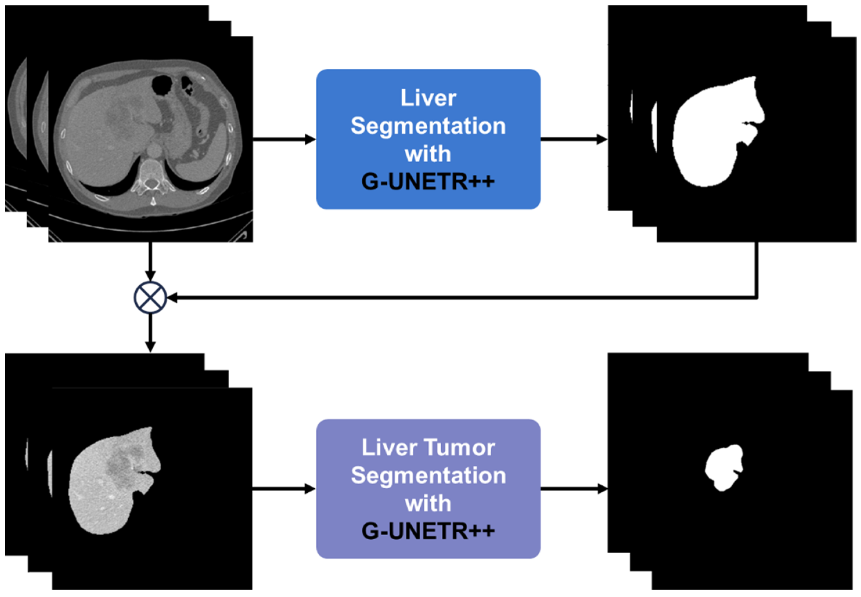 Diagnostics 16 00429 g002