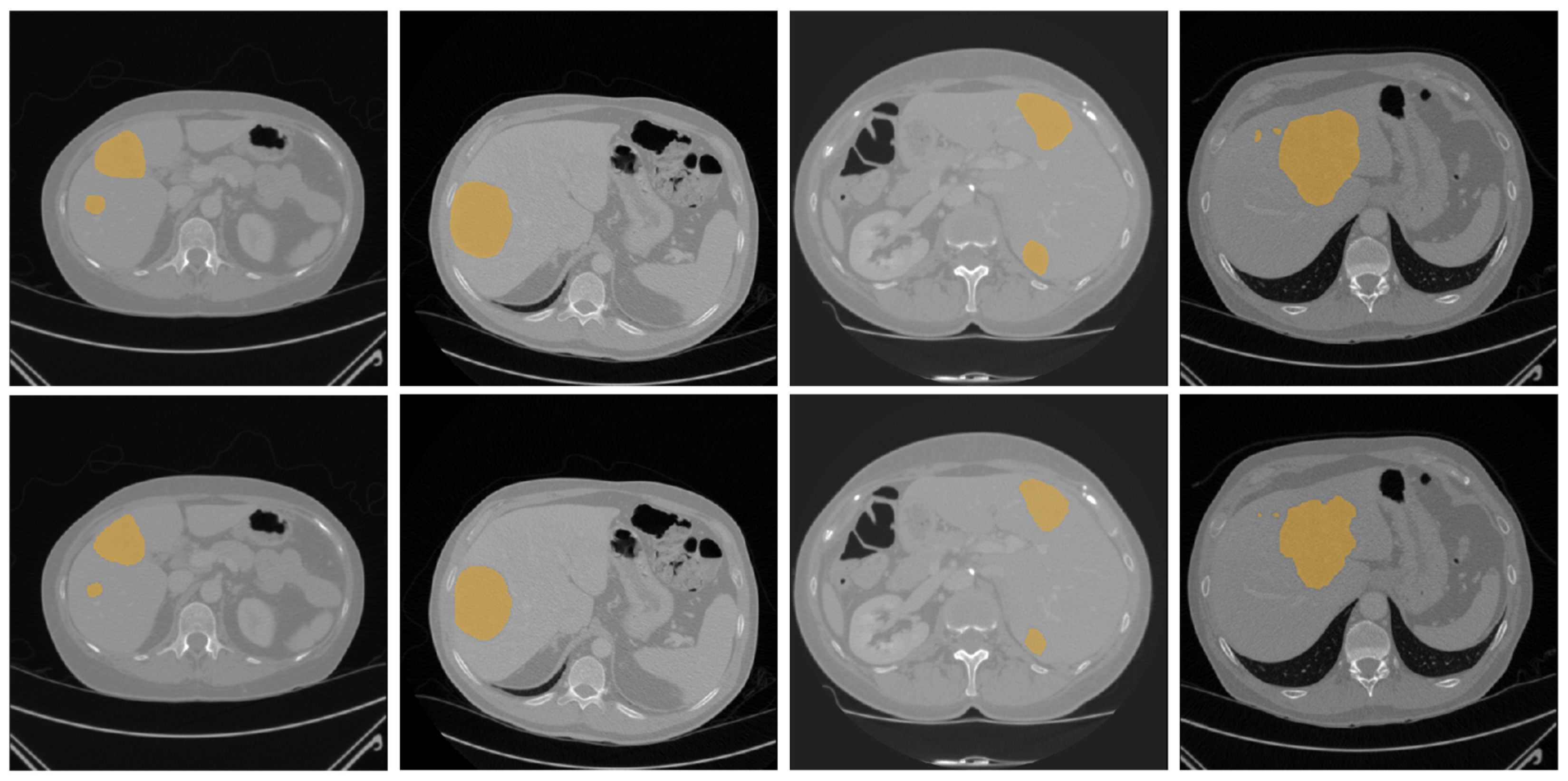 Diagnostics 16 00429 g004