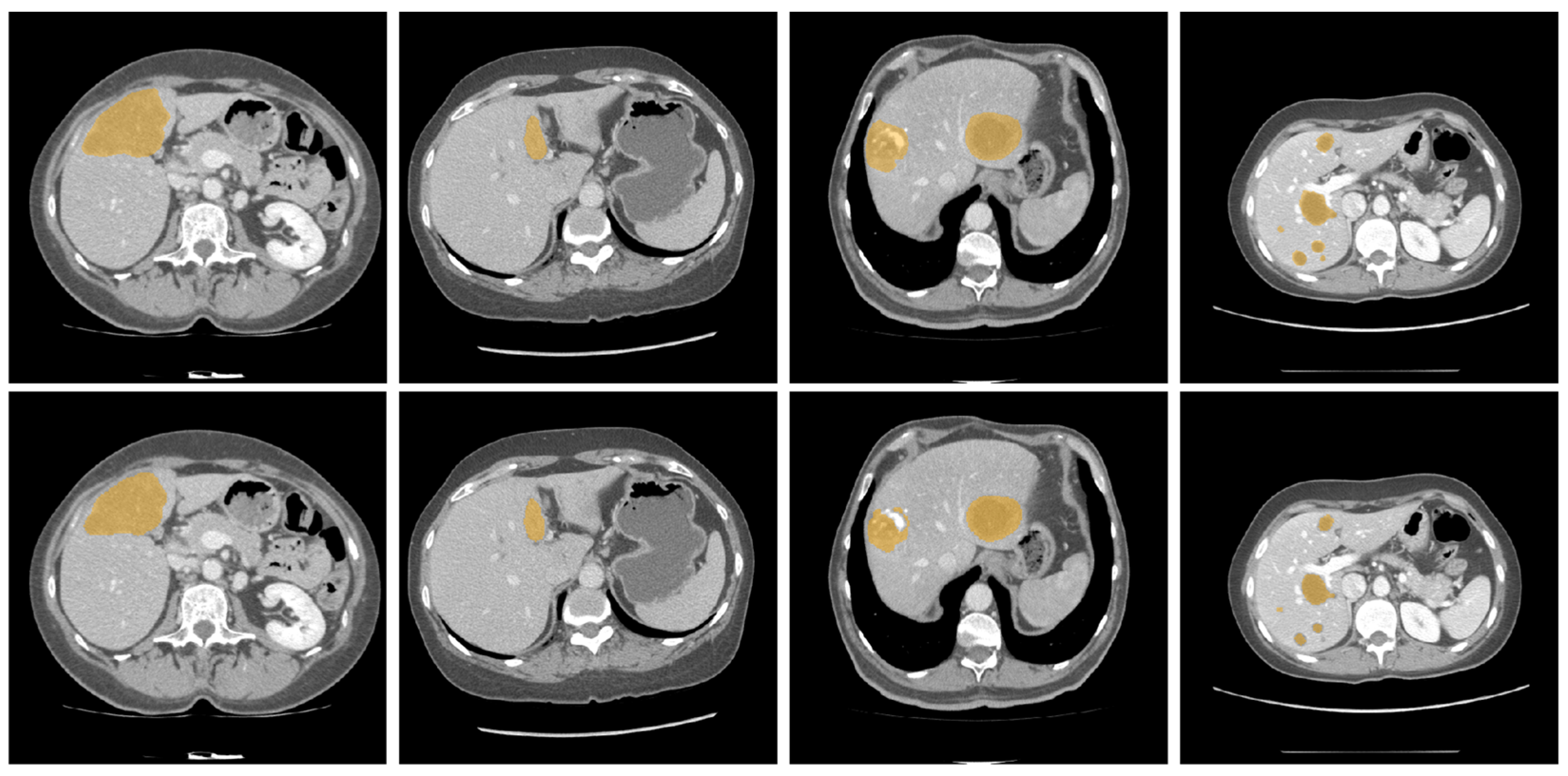 Diagnostics 16 00429 g005