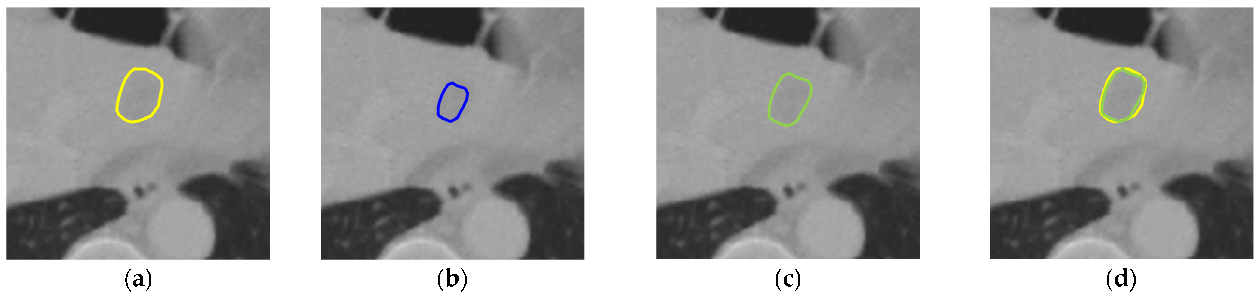 Diagnostics 16 00429 g006