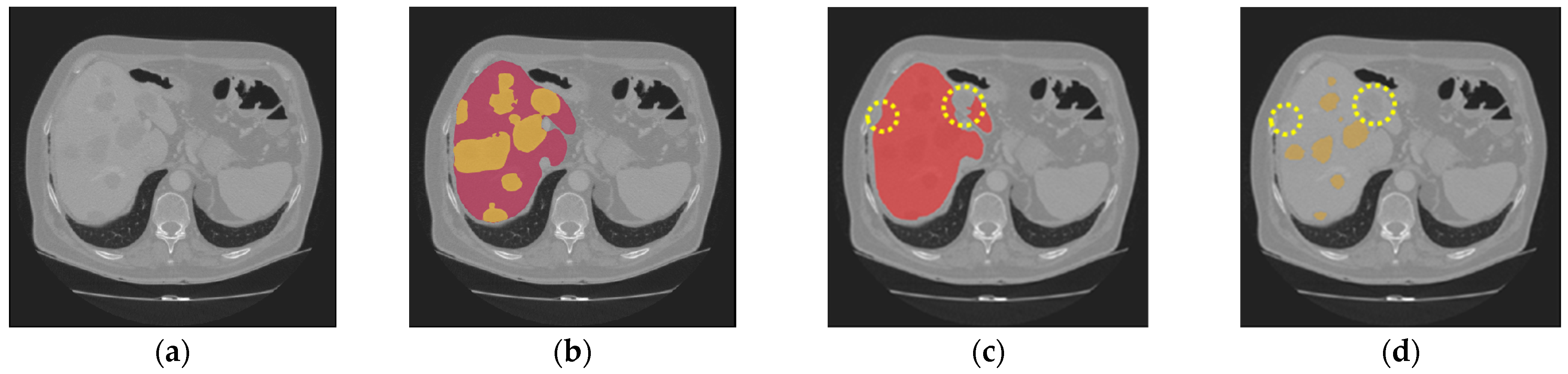 Diagnostics 16 00429 g009