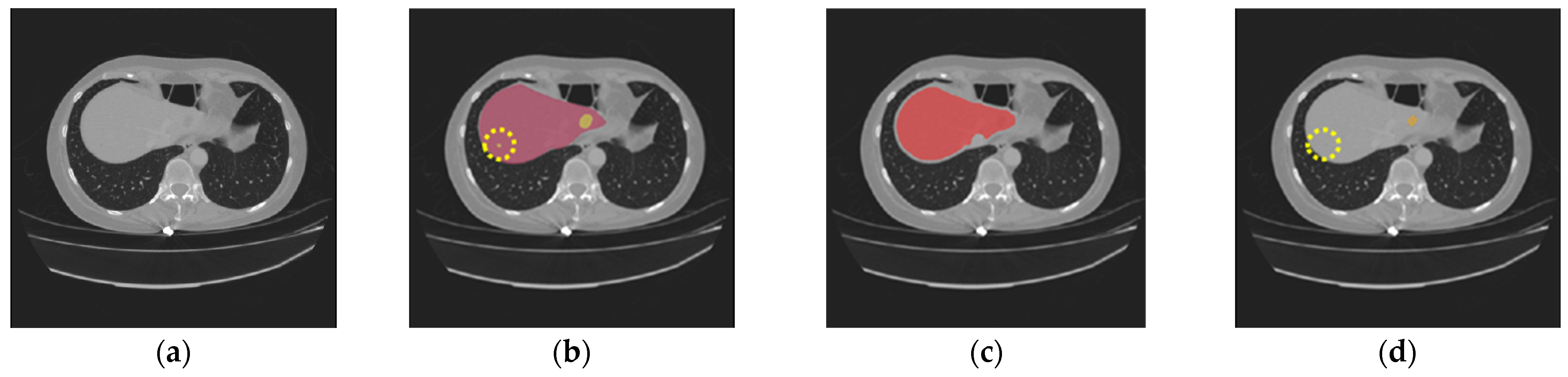 Diagnostics 16 00429 g010