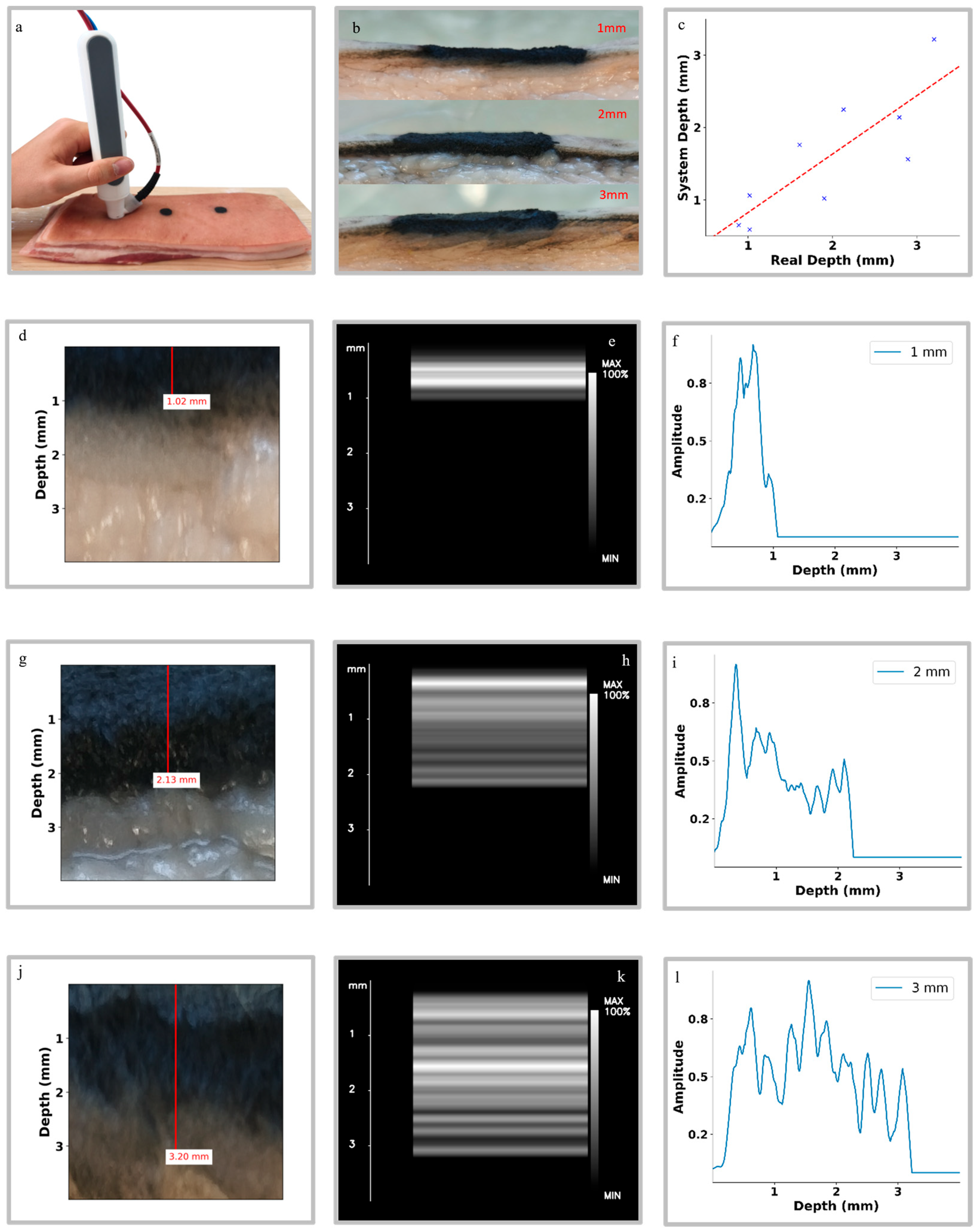 Diagnostics 16 00436 g004