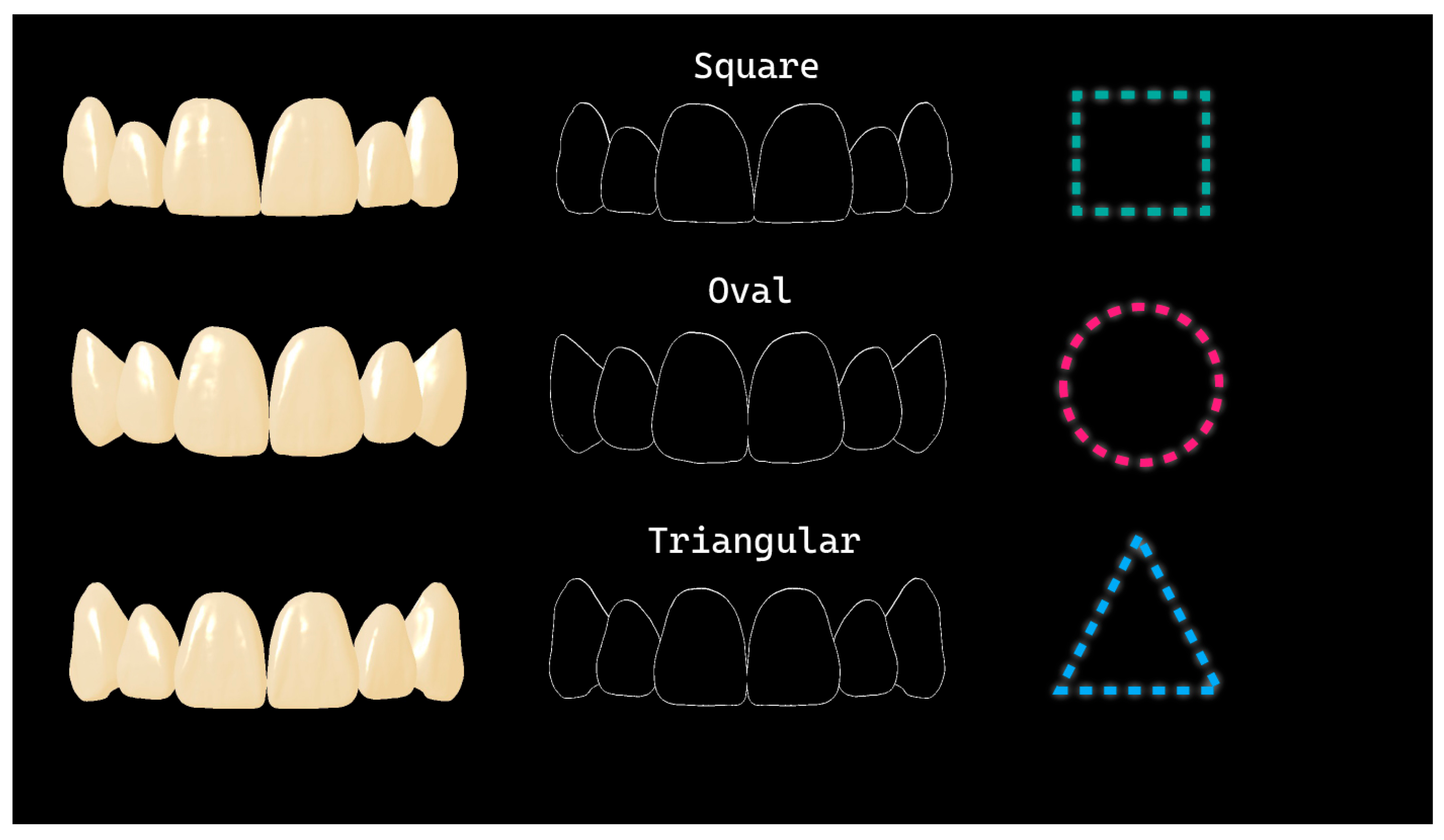 Diagnostics 16 00453 g004