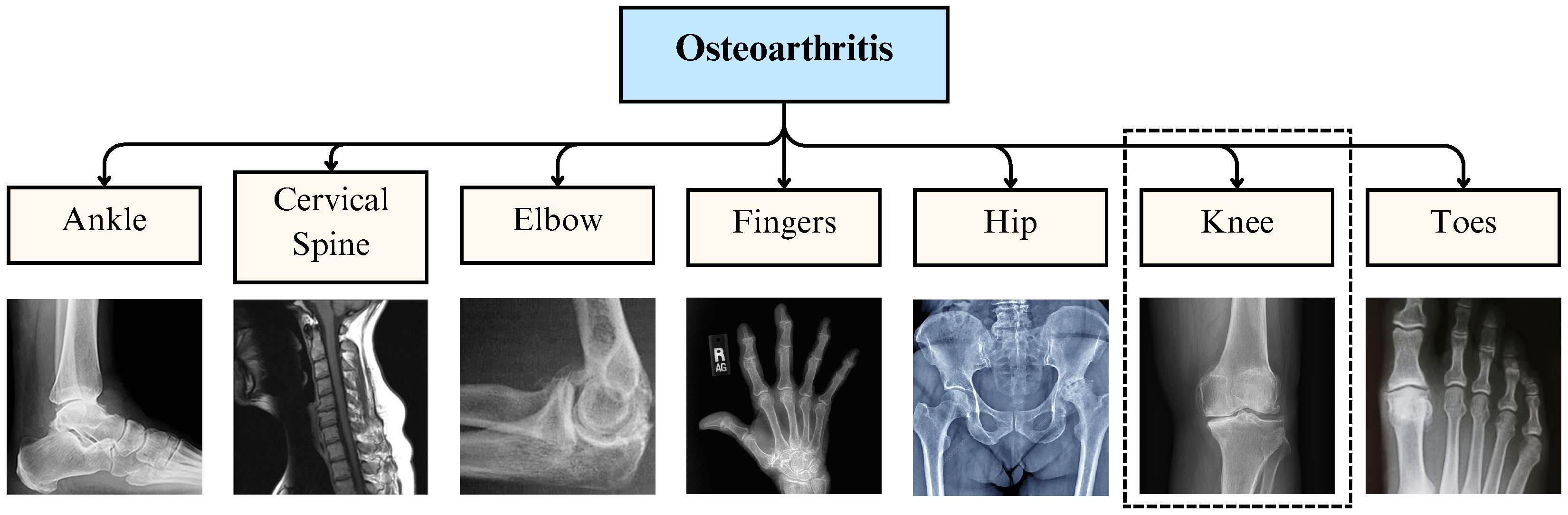 Diagnostics 16 00461 g001