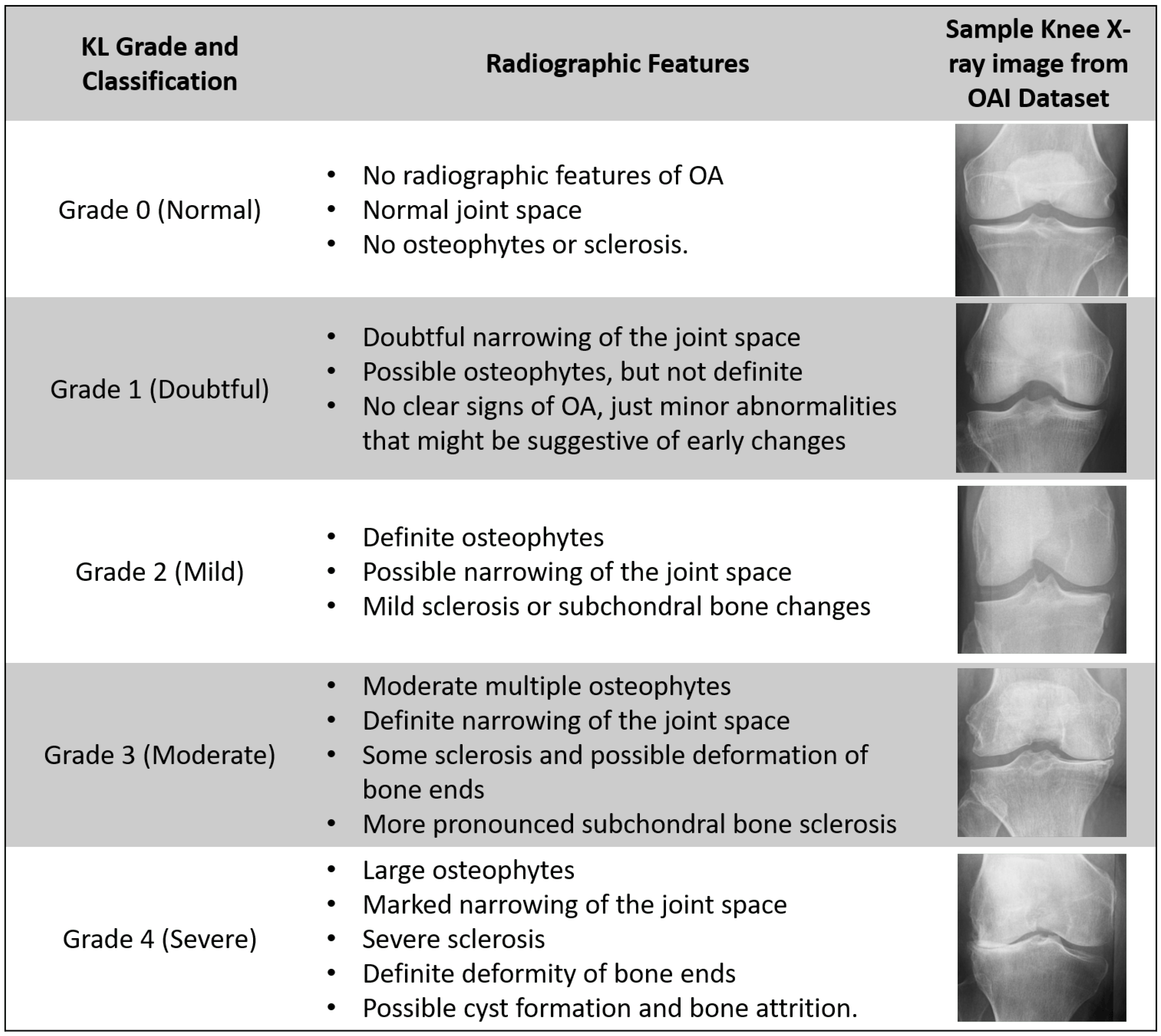 Diagnostics 16 00461 g003