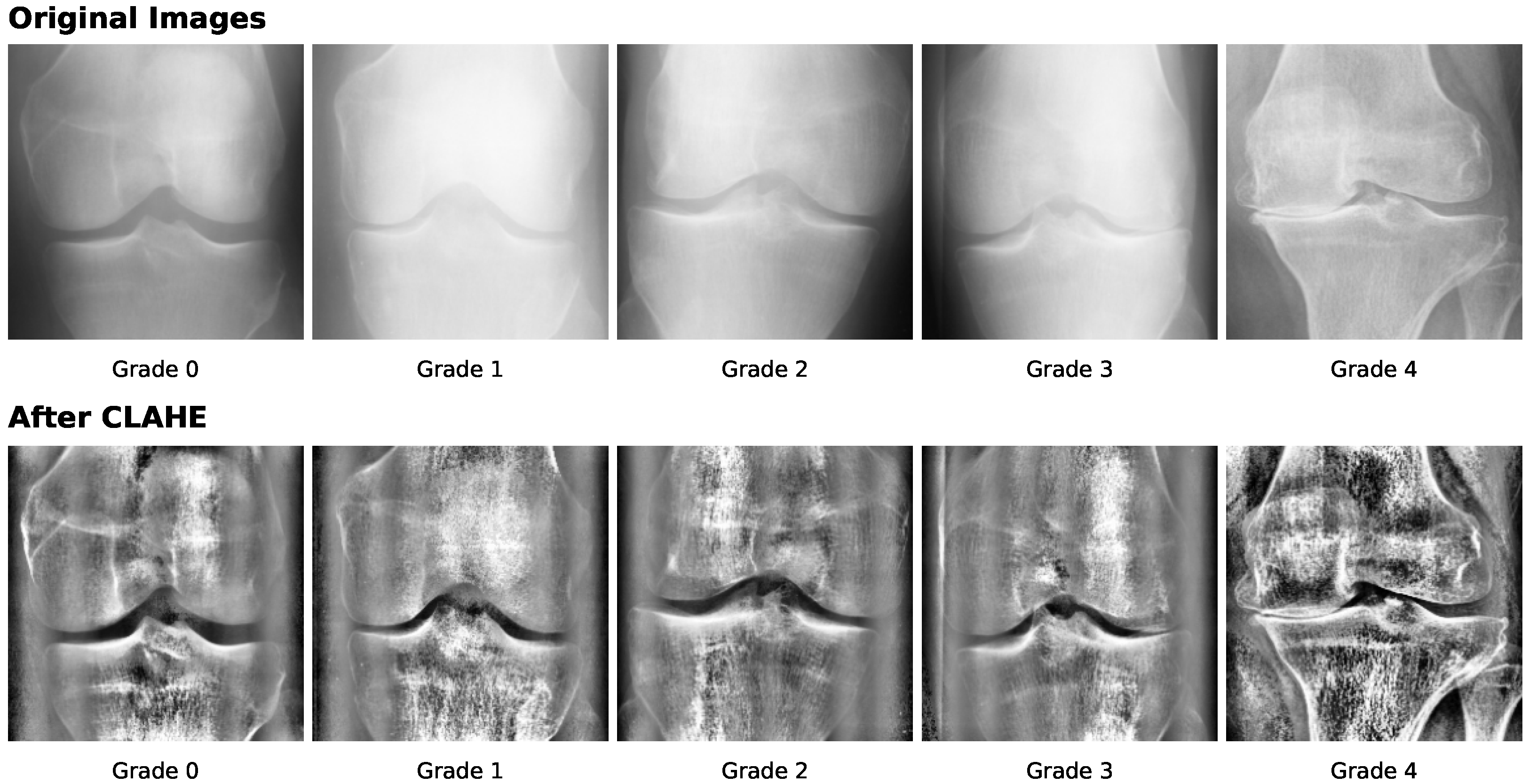 Diagnostics 16 00461 g010