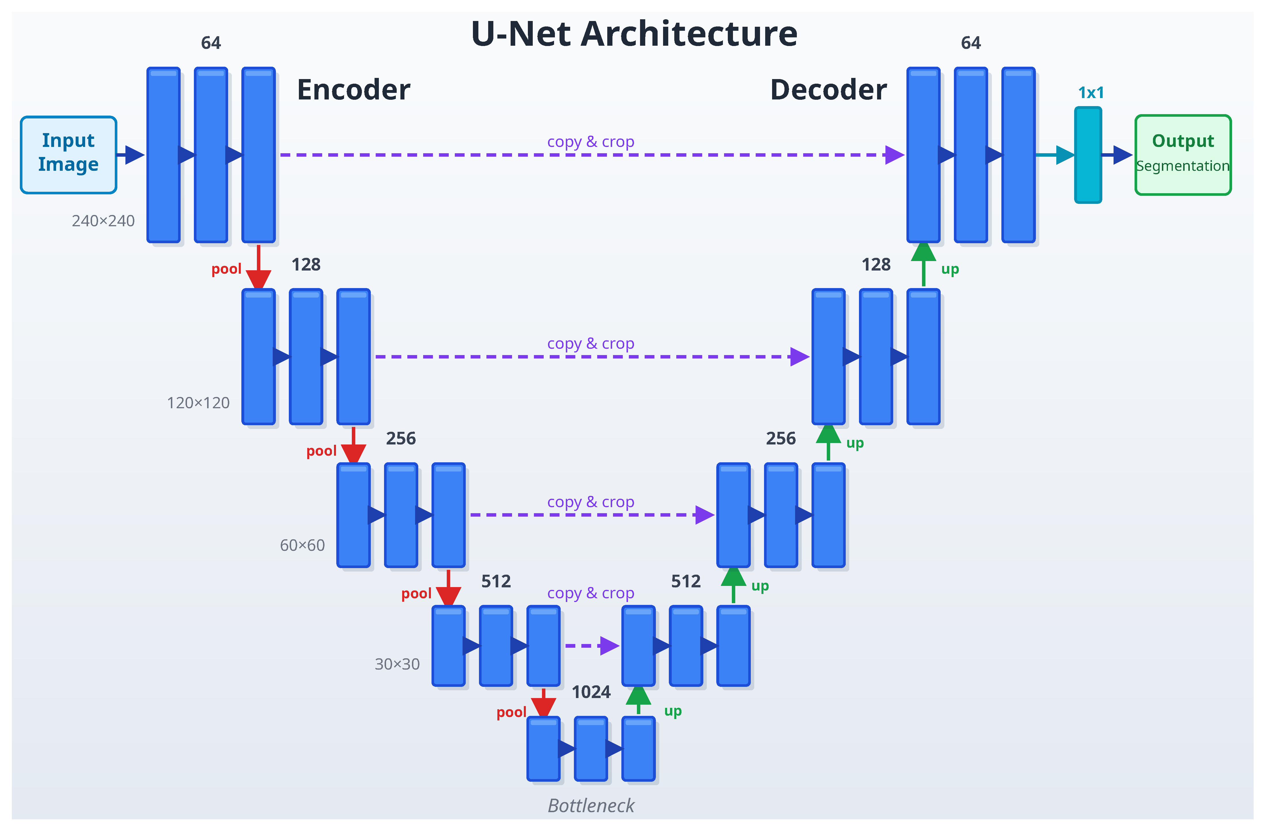 U Net Svg Computer Vision A Review of U-Net Based Deep Learning Frameworks for MRI-Based Brain ...