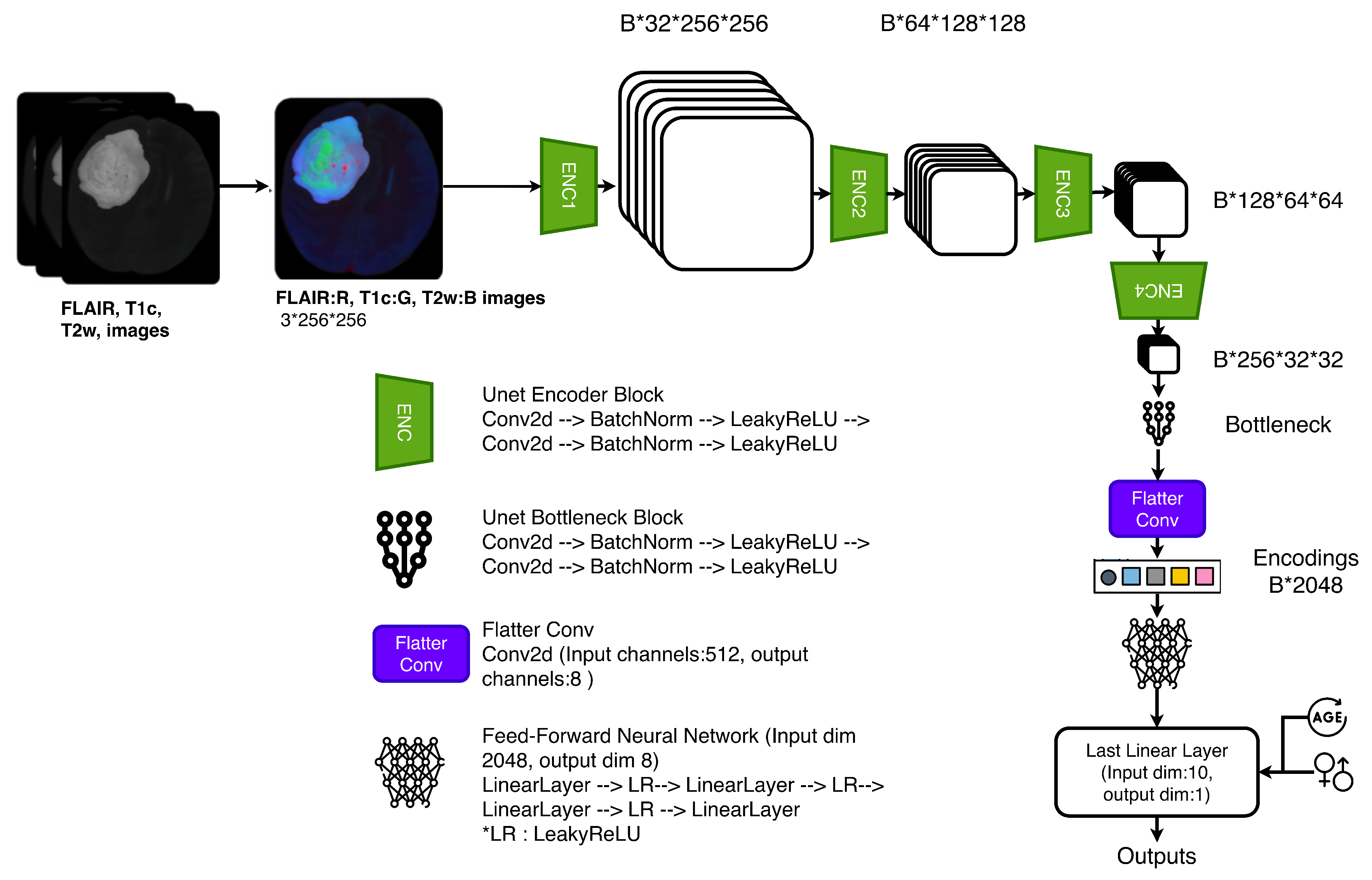 Diagnostics 16 00623 g004