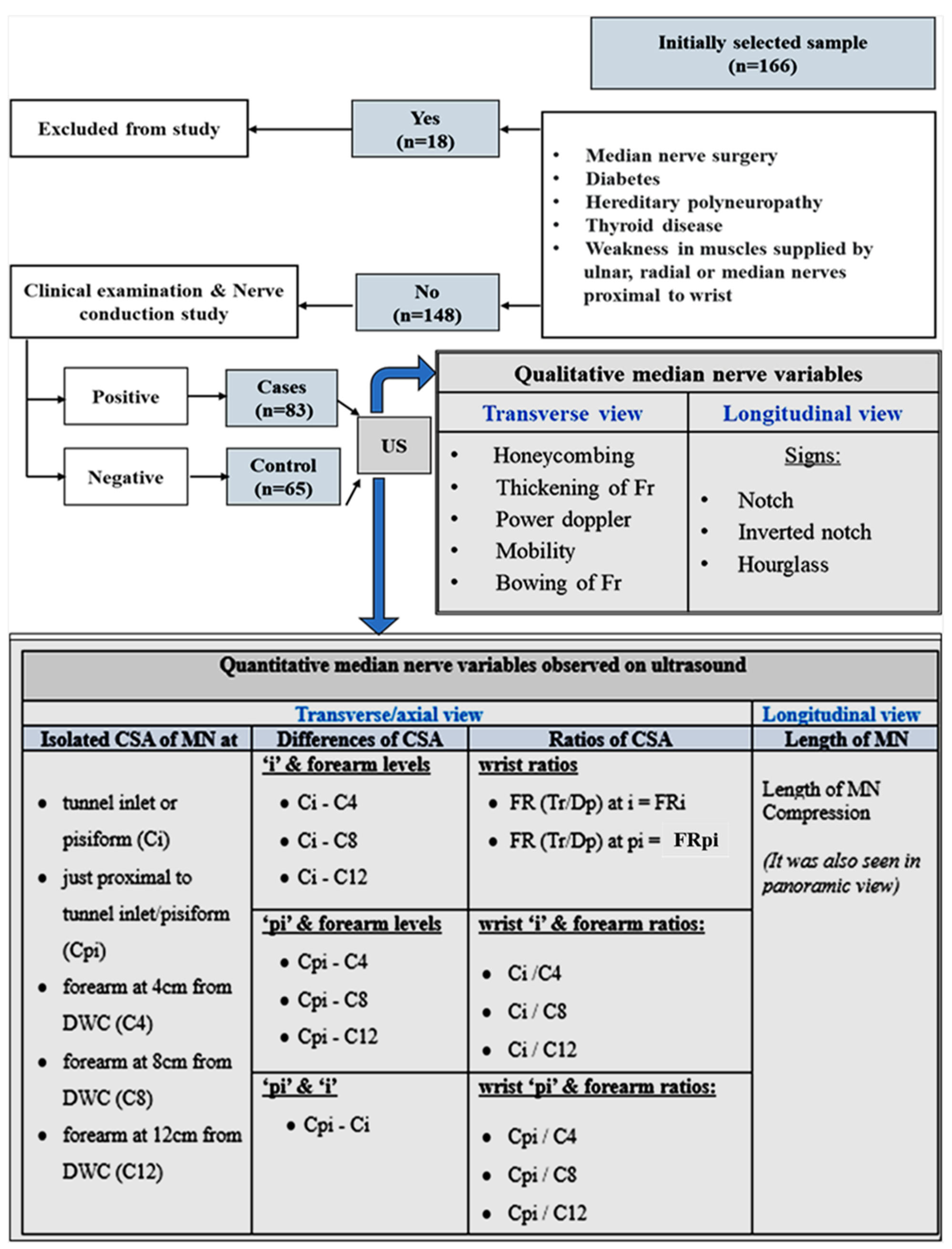 Diagnostics 16 00641 g001