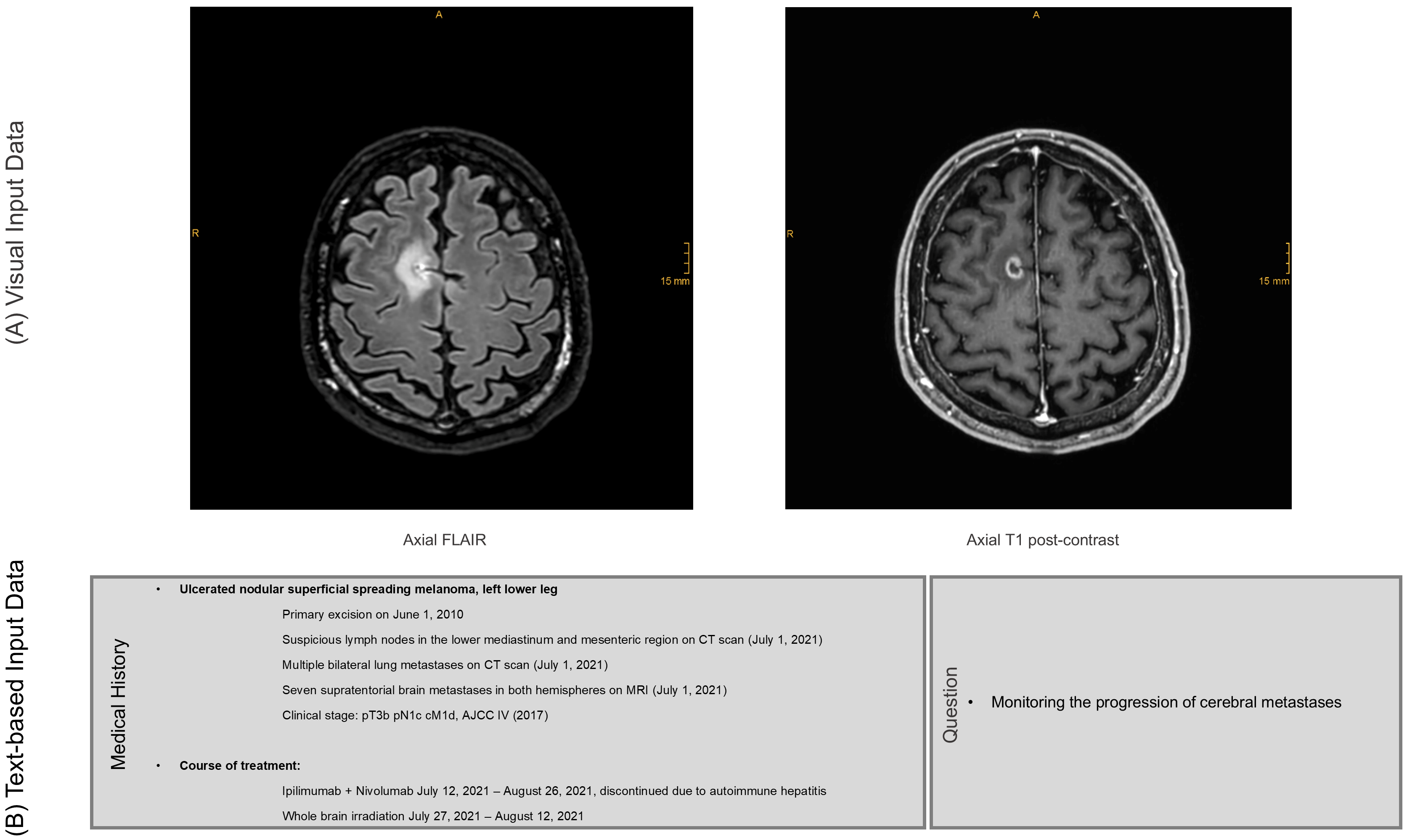 Diagnostics 16 00749 g002
