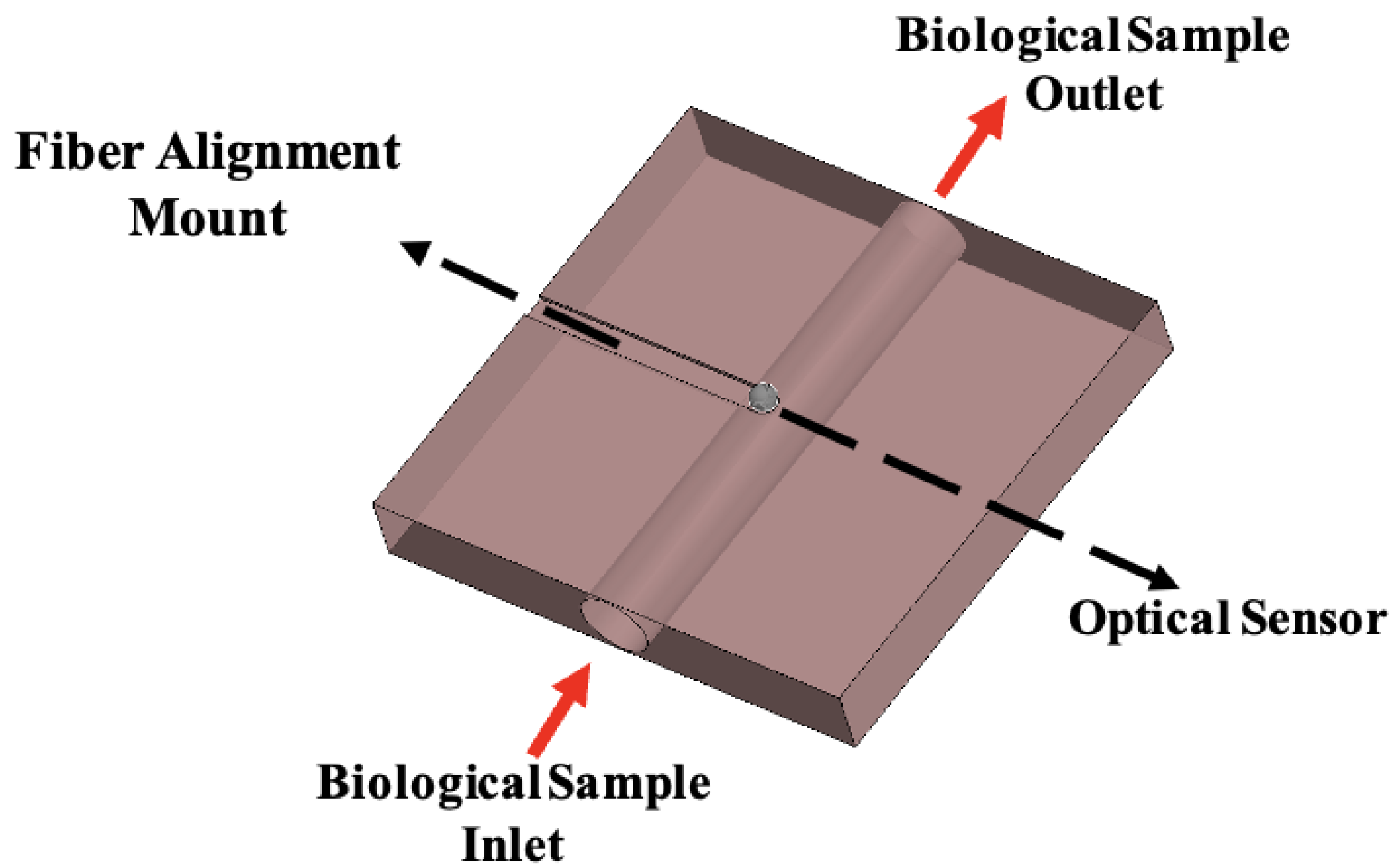 Diagnostics 16 00848 g008