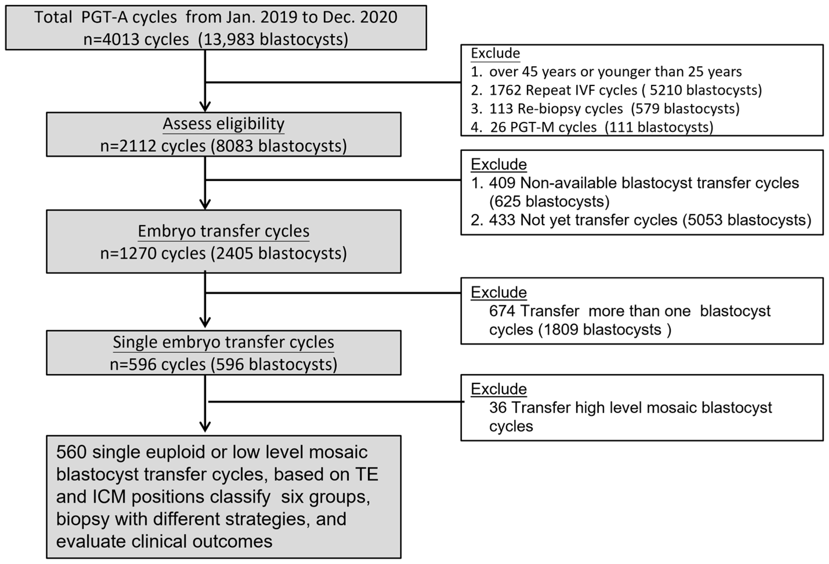 Diagnostics 16 00915 g002 Diagnostics 16 00915 g002