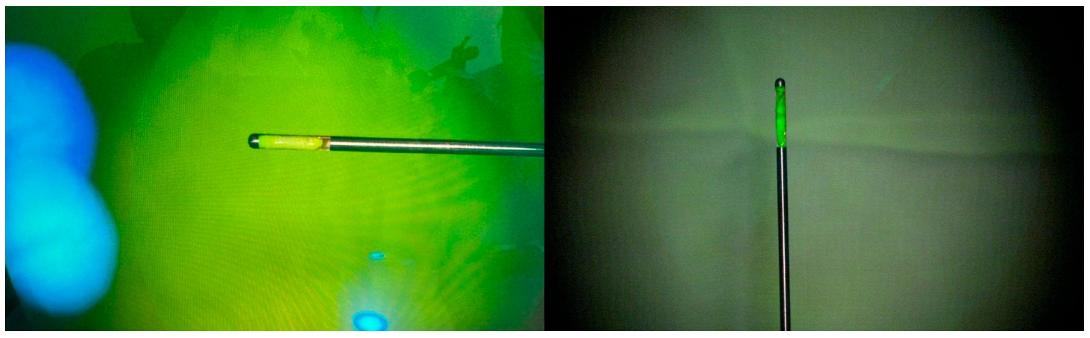 Diagnostics 16 01033 g006