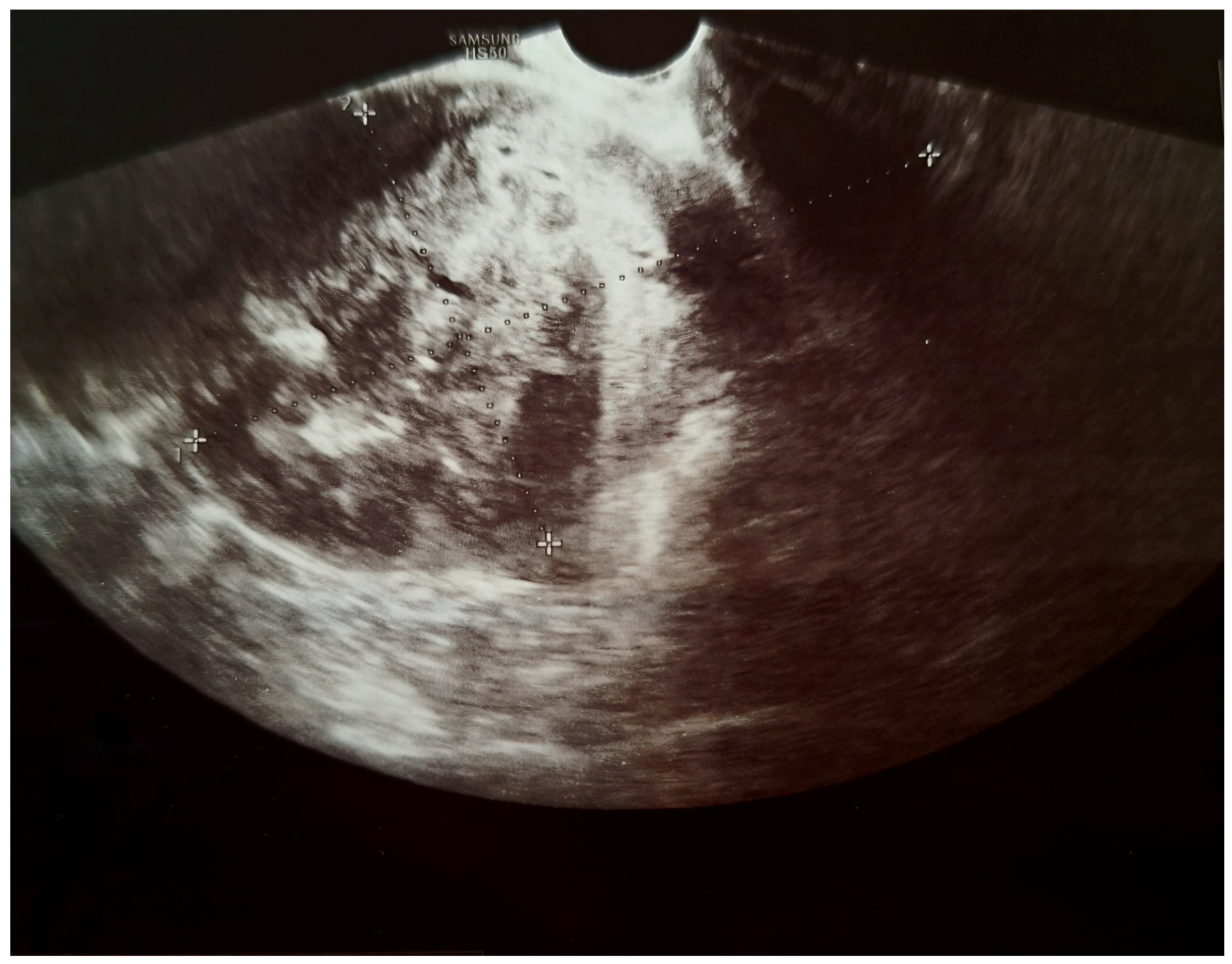 Diagnostics 16 01075 g003
