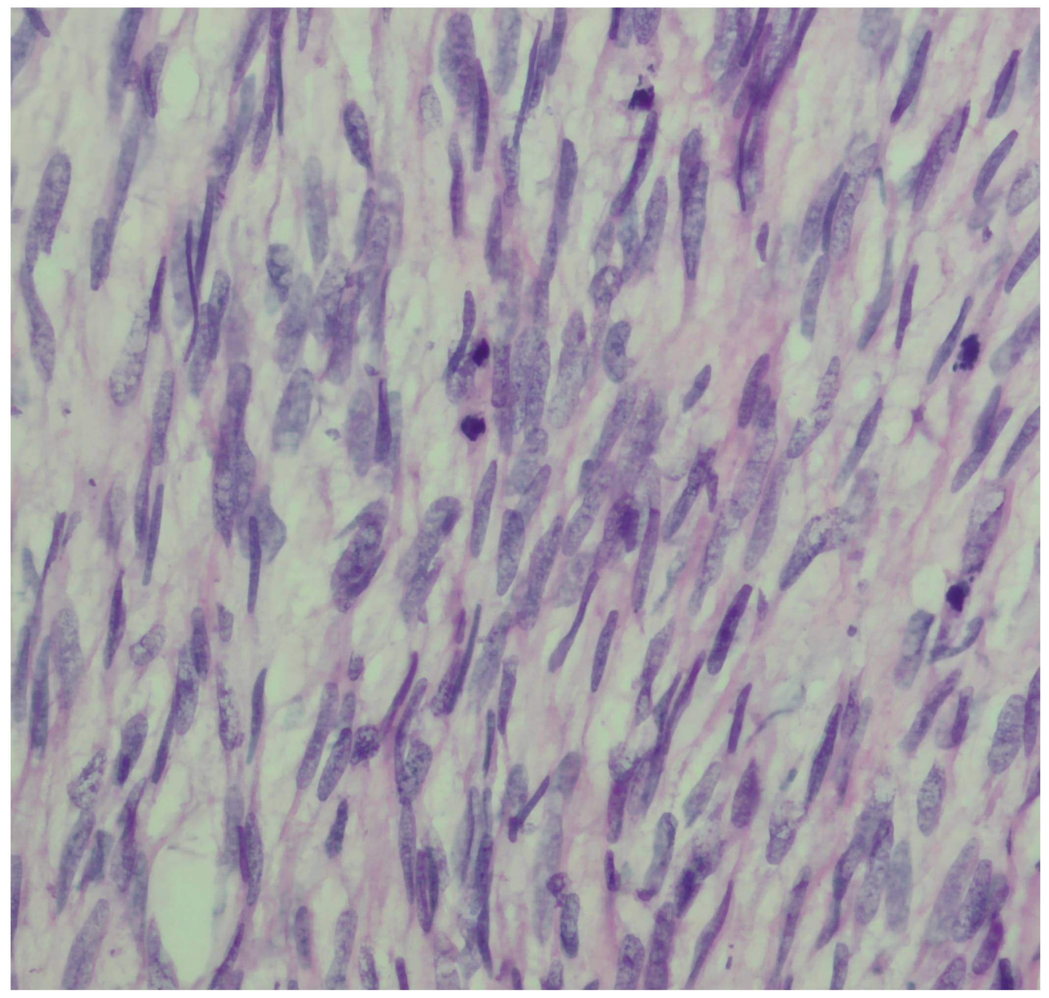 Diagnostics 16 01075 g004