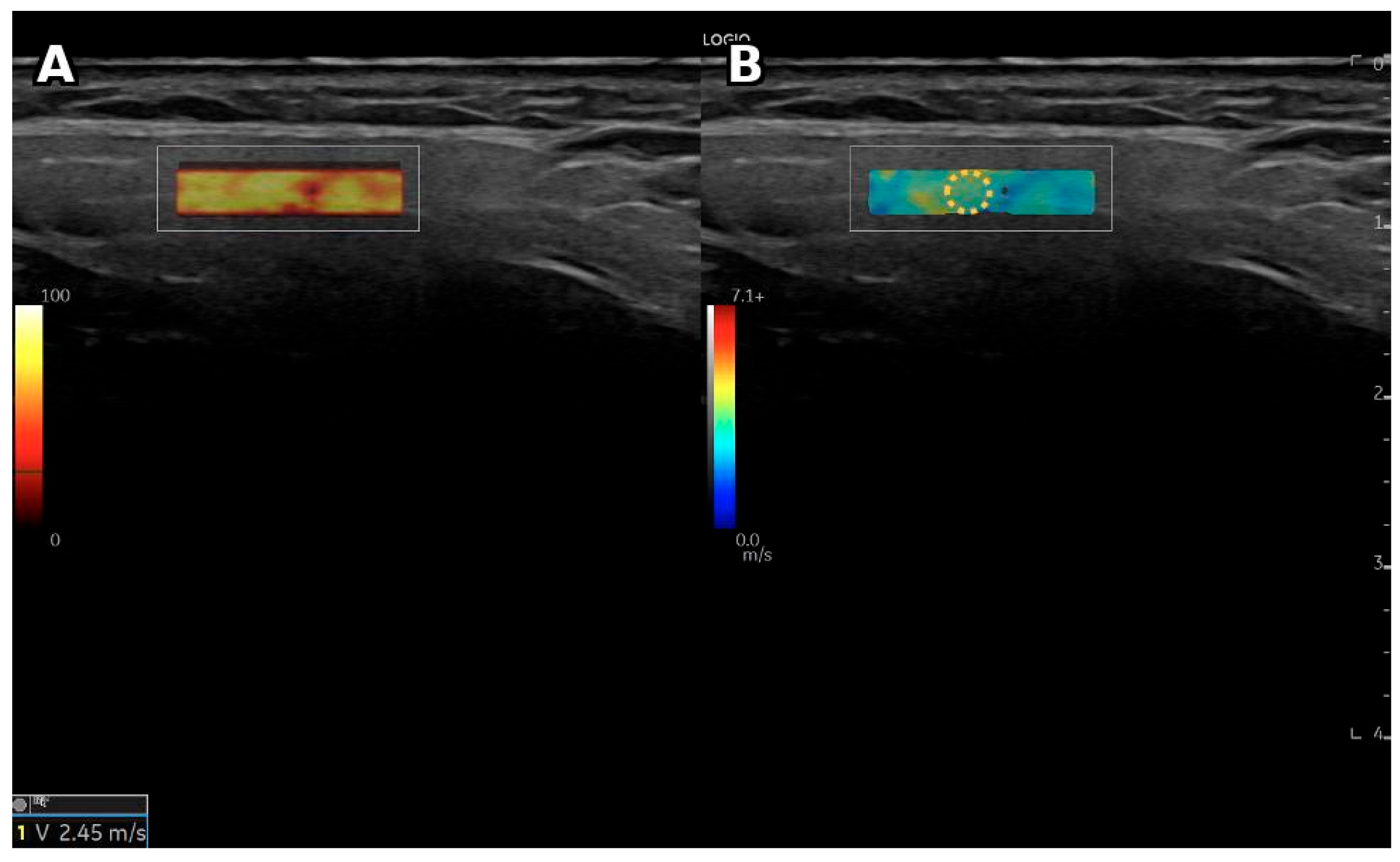 Diagnostics 16 01095 g005