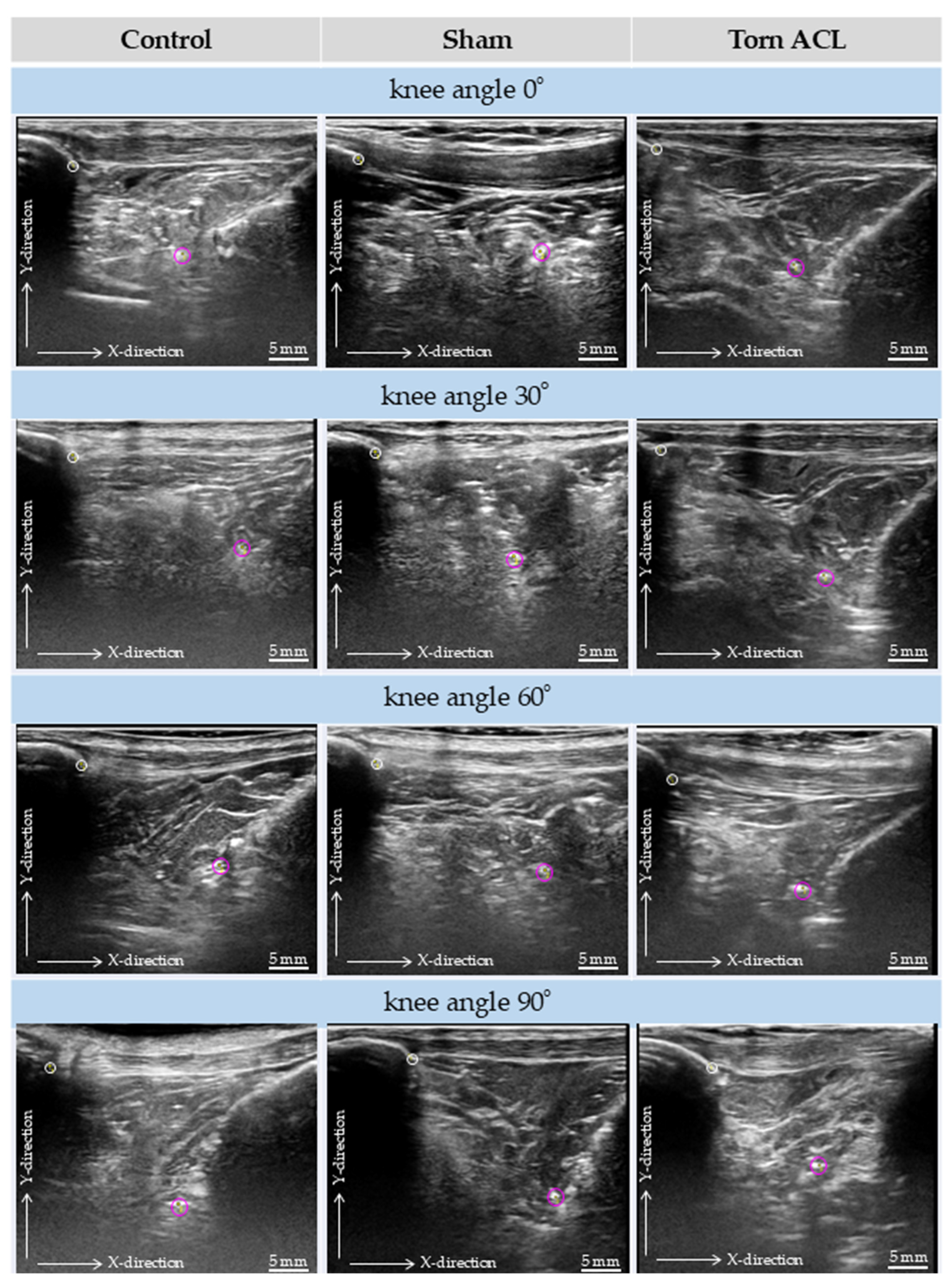 Diagnostics 16 01097 g008 Diagnostics 16 01097 g008