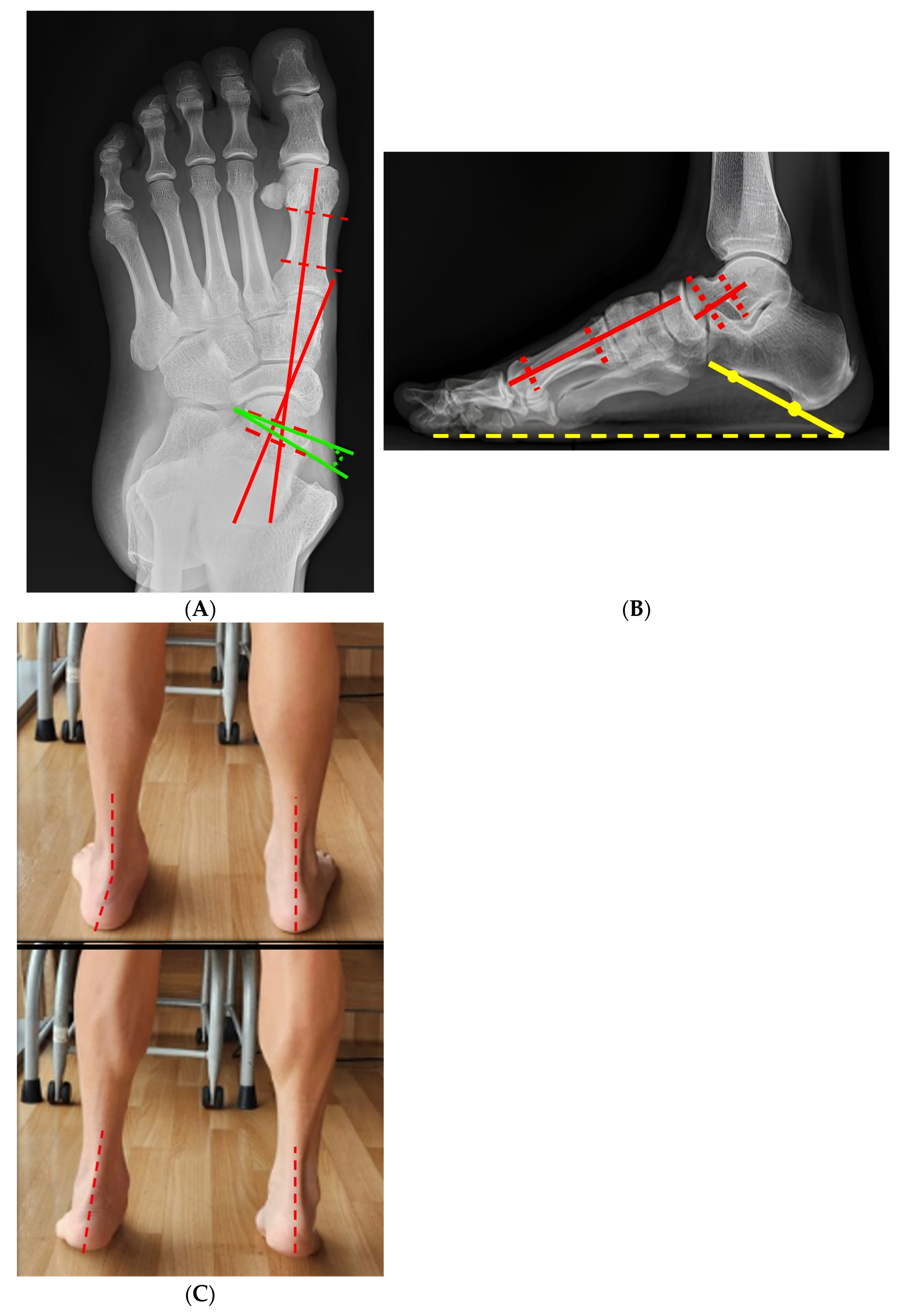 Diagnostics 16 01124 g002