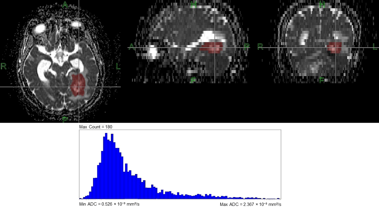 Diagnostics 16 01154 g003