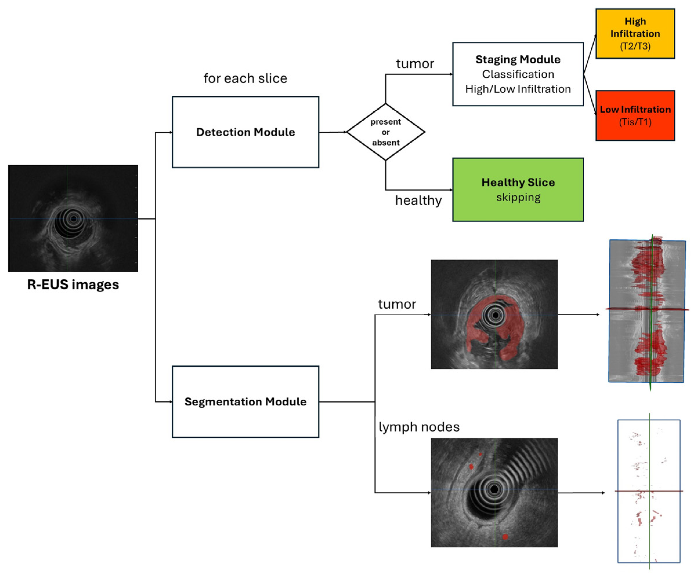 Diagnostics 16 01161 g001