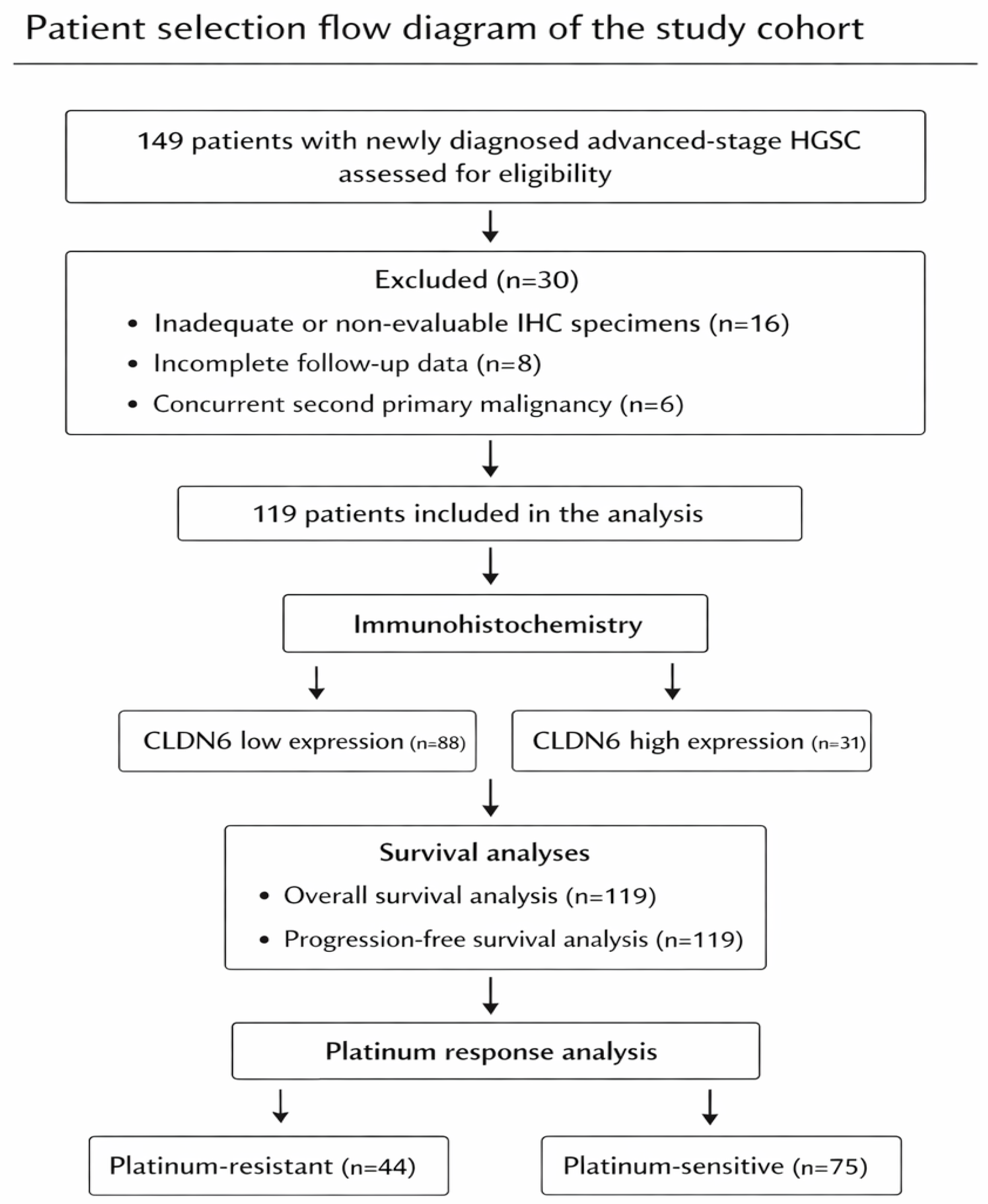 Diagnostics 16 01175 g001 Diagnostics 16 01175 g001