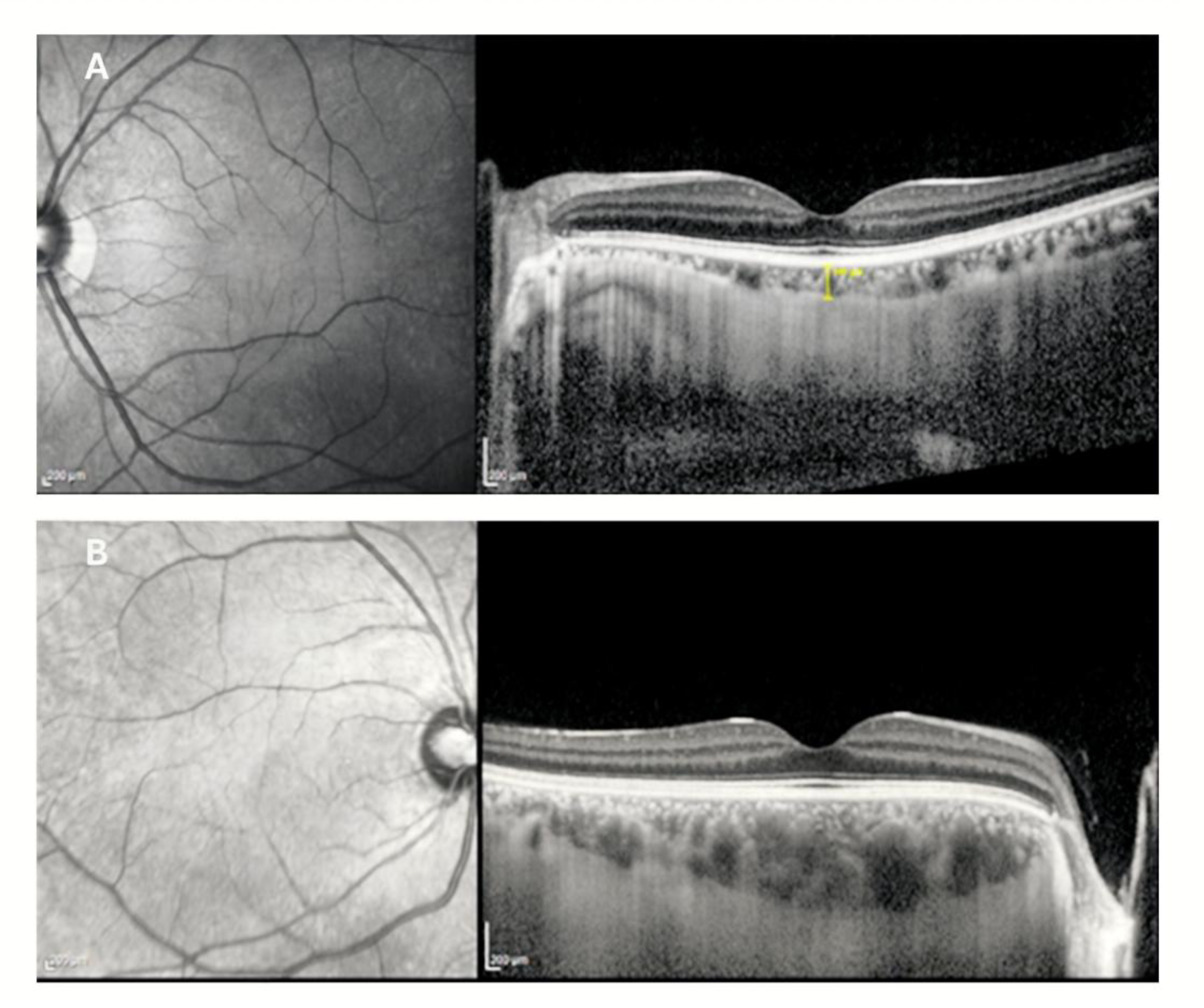 Diagnostics 16 01212 g002