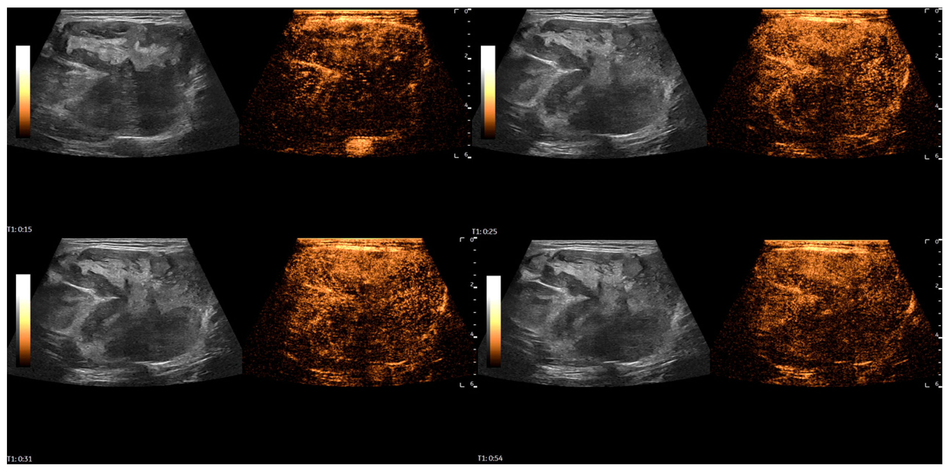 Diagnostics 16 01286 g003