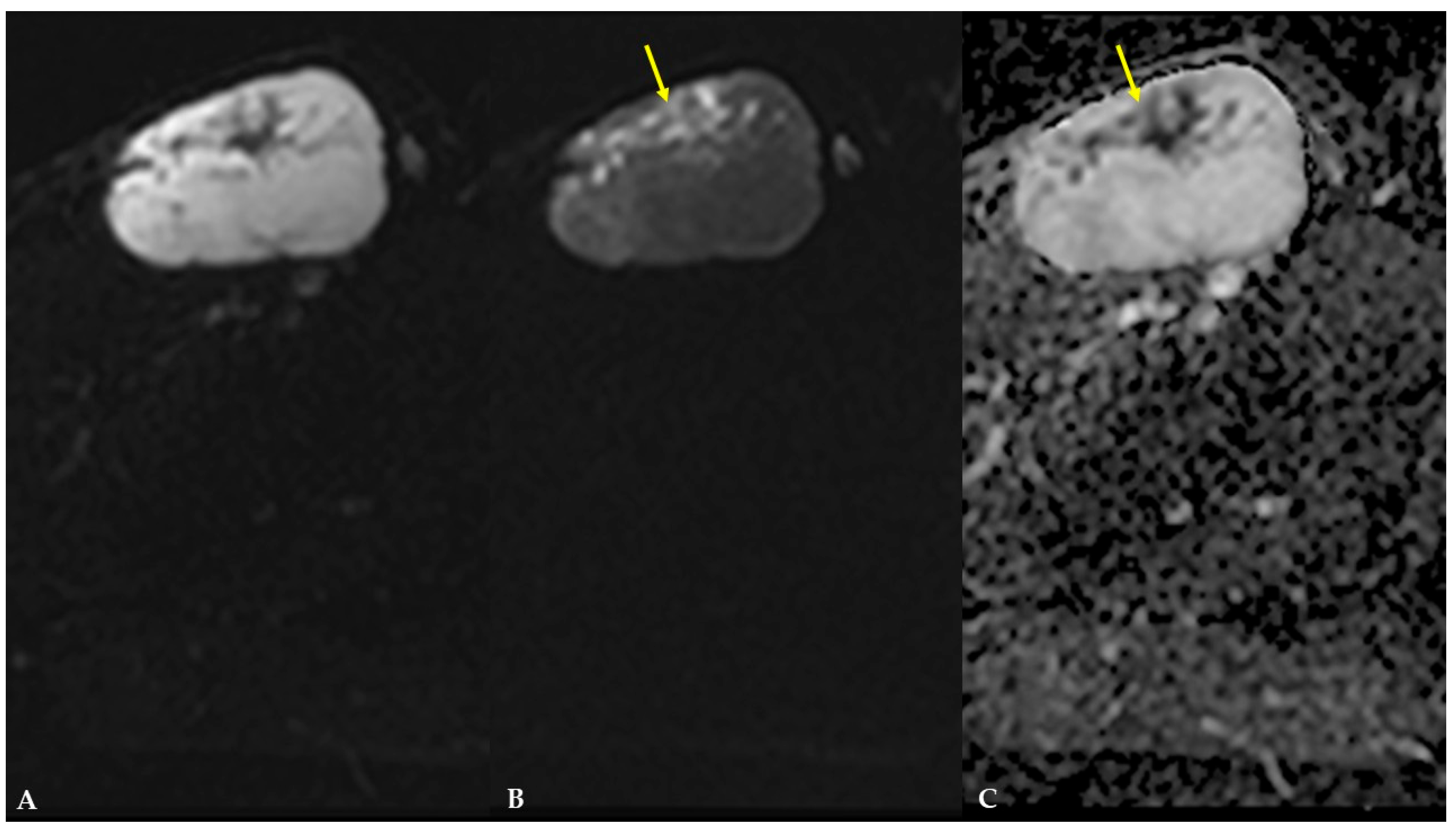 Diagnostics 16 01286 g006