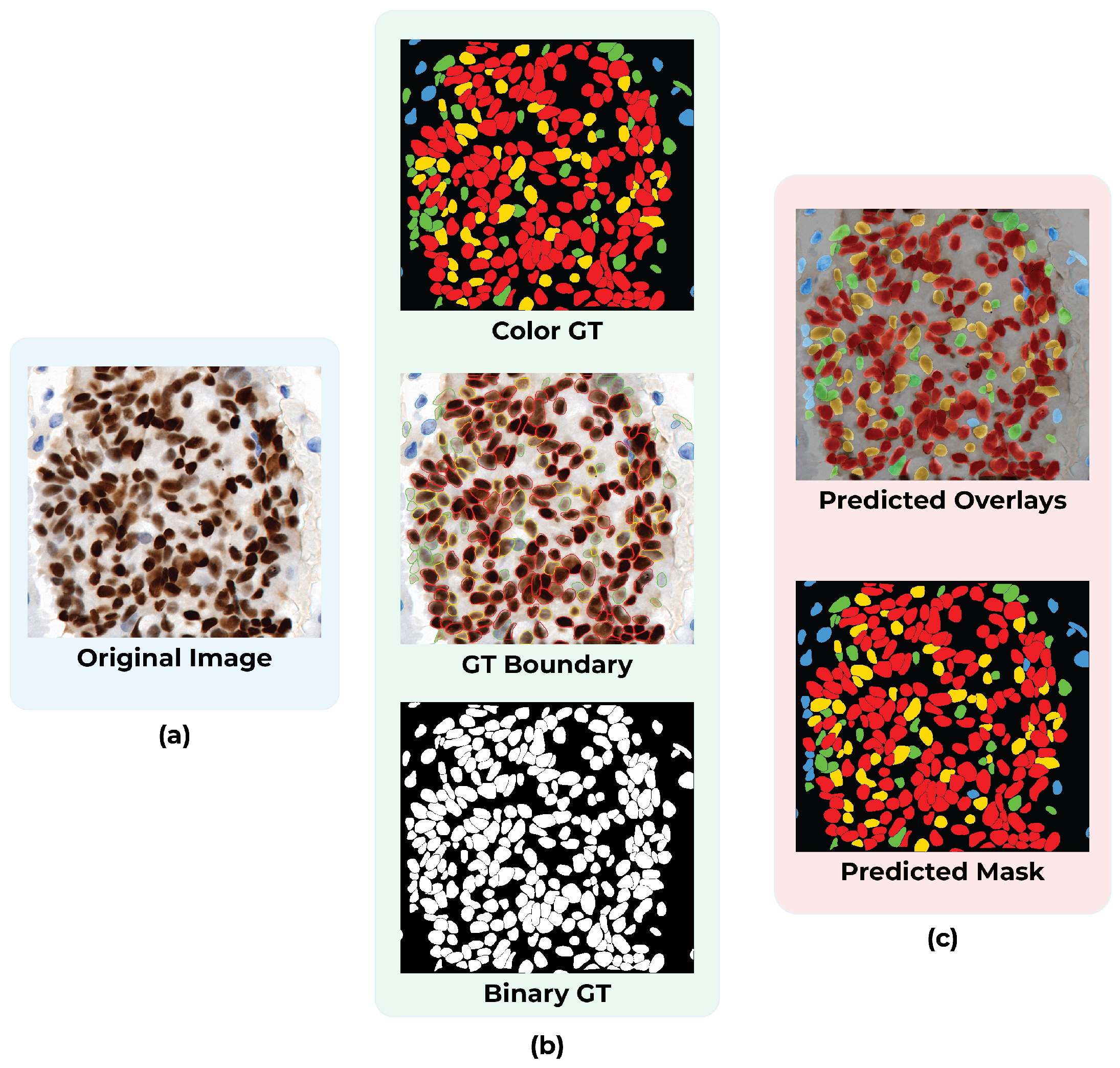Diagnostics 16 01295 g013