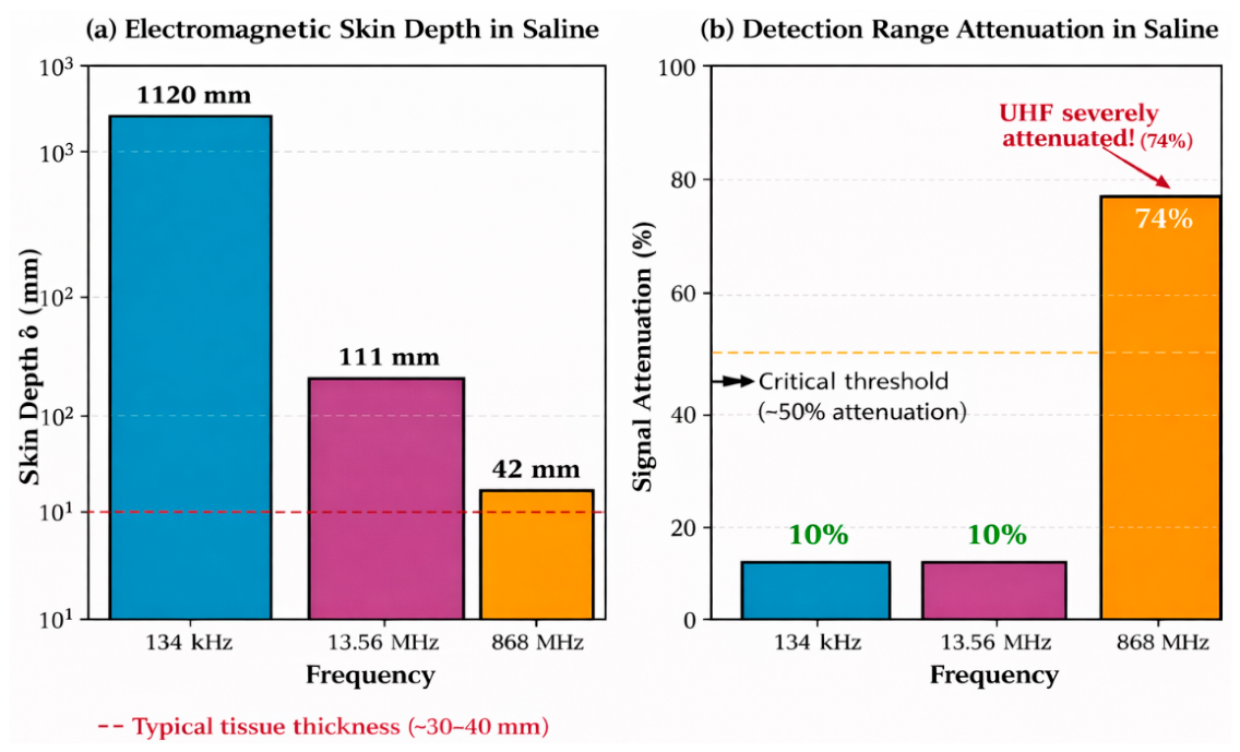 Diagnostics 16 01318 g010