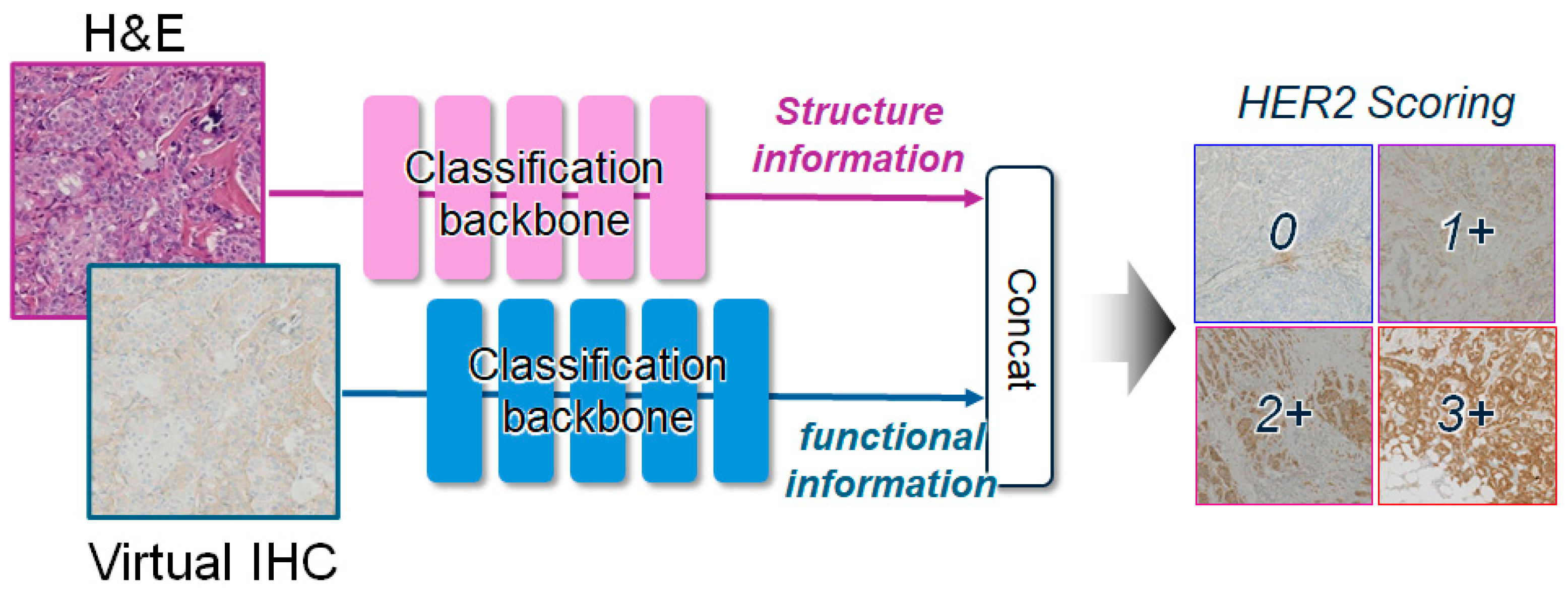 Diagnostics 16 01319 g003 Diagnostics 16 01319 g003