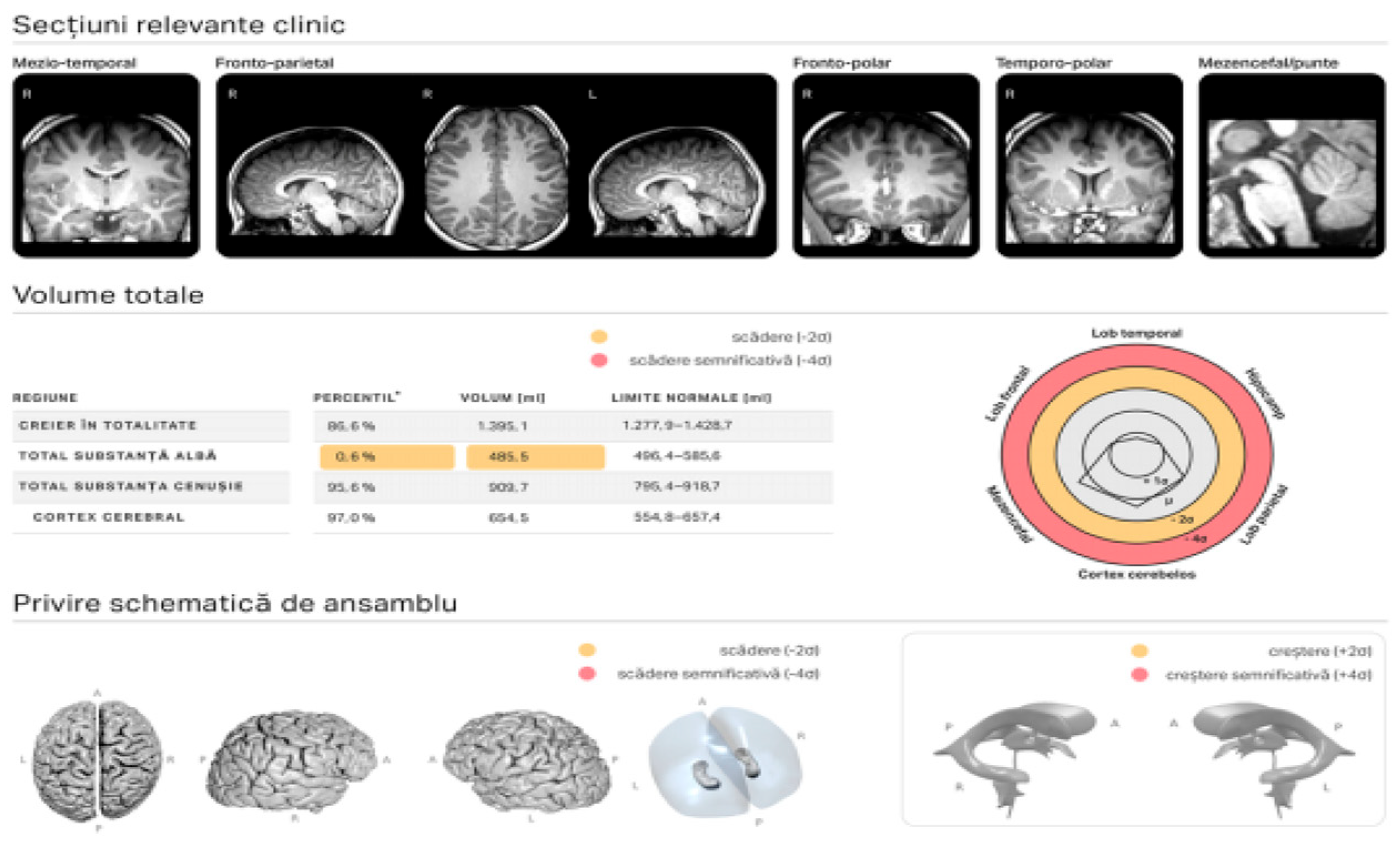 Bridging Brain Science and Technology: How AI Is Shaping the