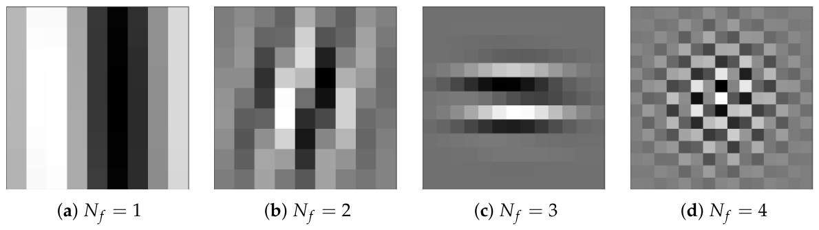 Evolutionarily Optimized Multi-Scale Gabor Modeling of Directional Lesion Texture in Dermoscopic Images for Interpretable Melanoma Classification