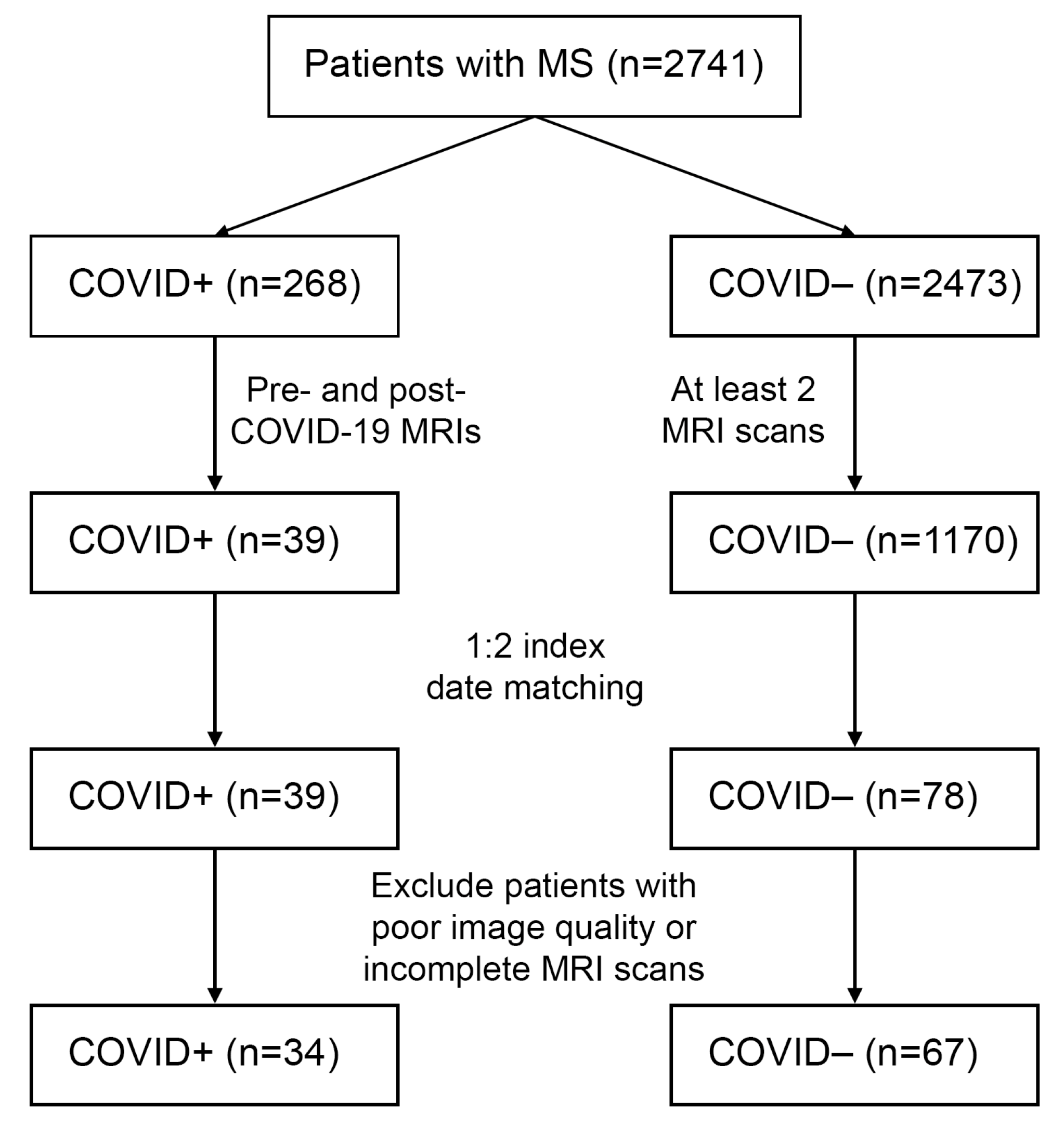 Diagnostics 16 01513 g001