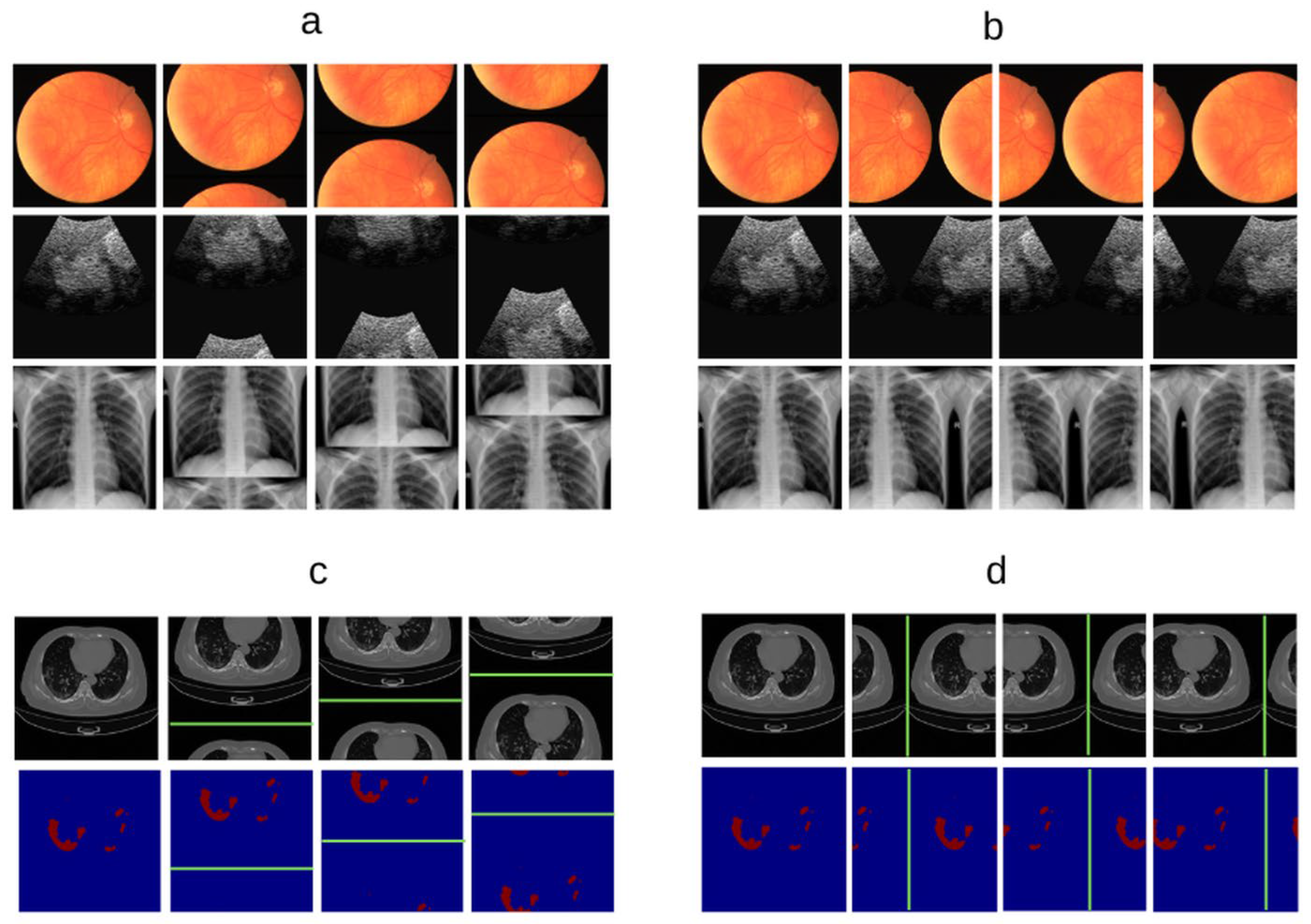Diagnostics 16 01546 g001