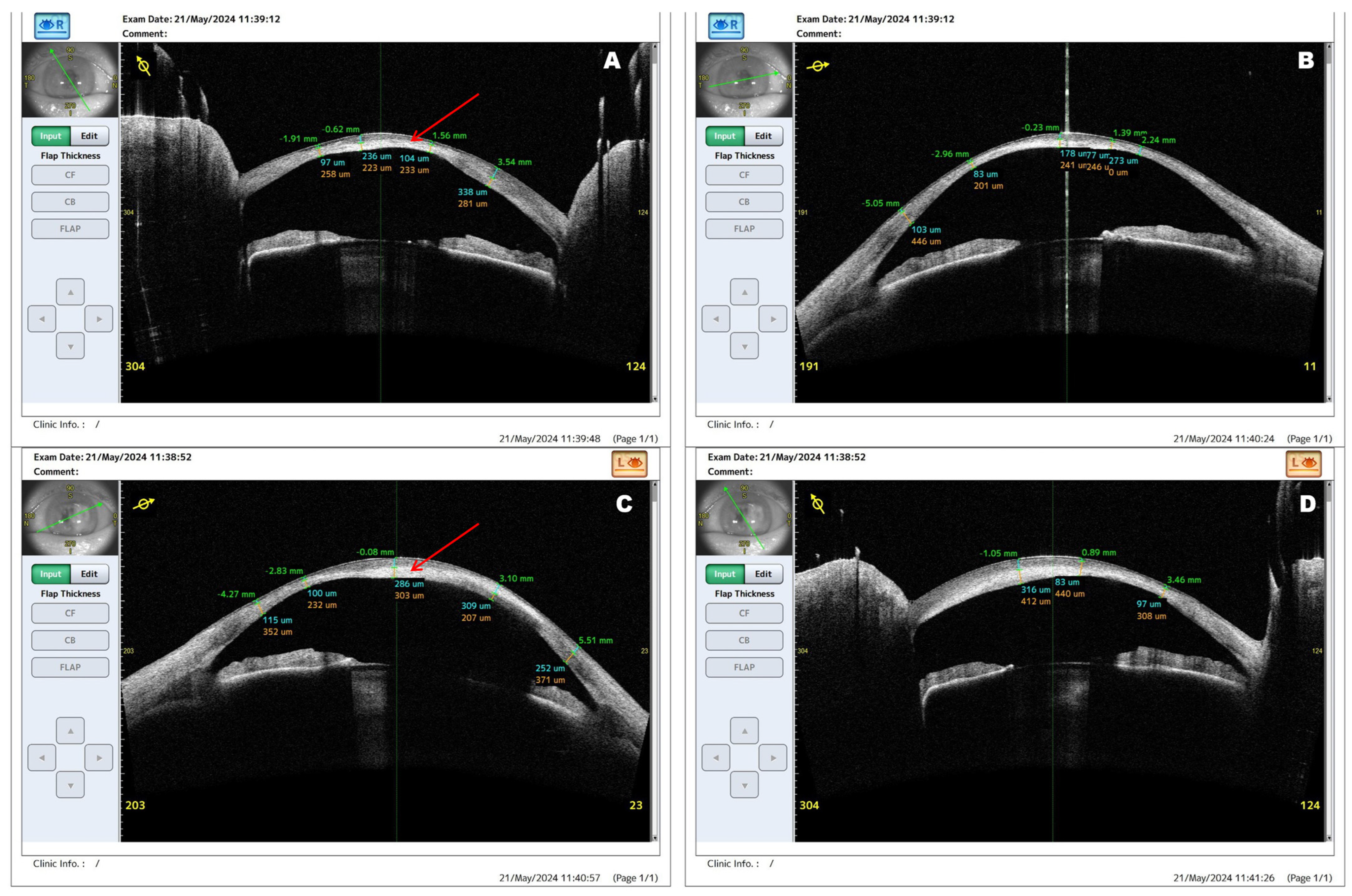 Diagnostics 16 01551 g002