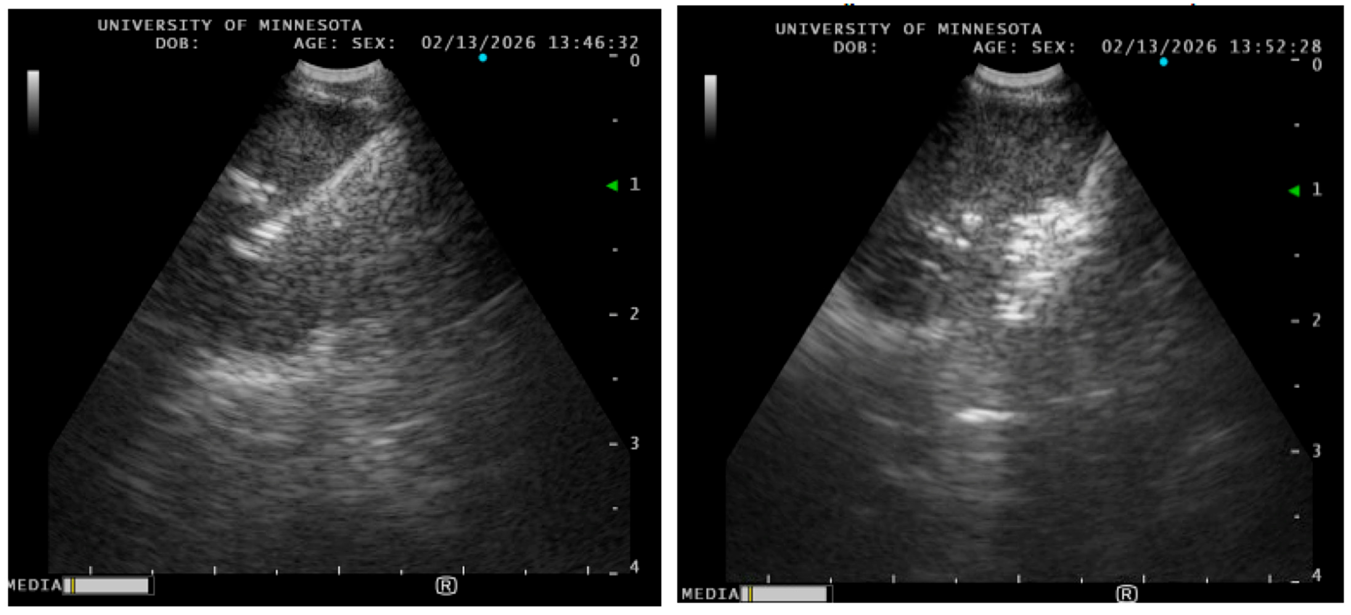 Diagnostics 16 01553 g004