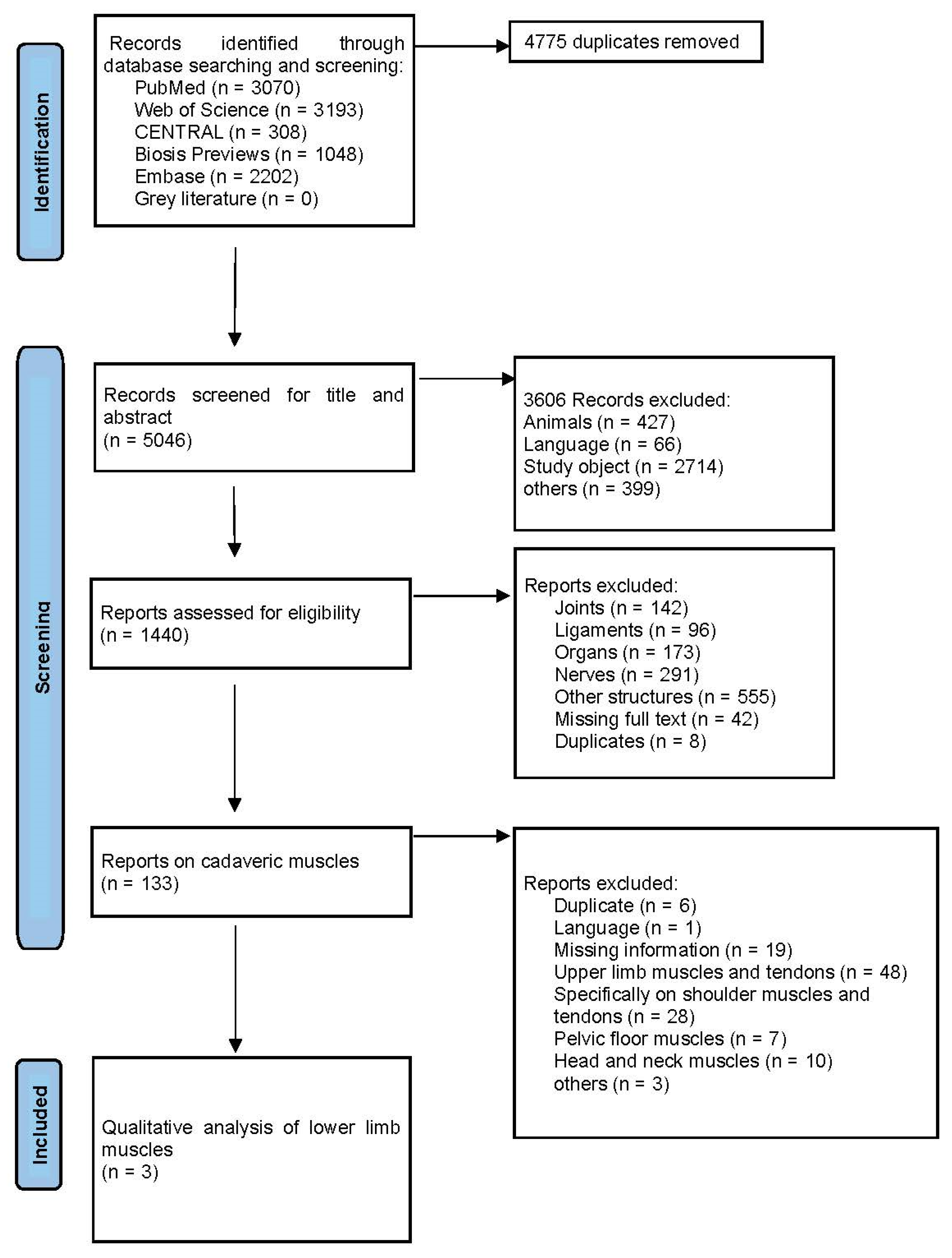 Diagnostics 16 01571 g001 Diagnostics 16 01571 g001