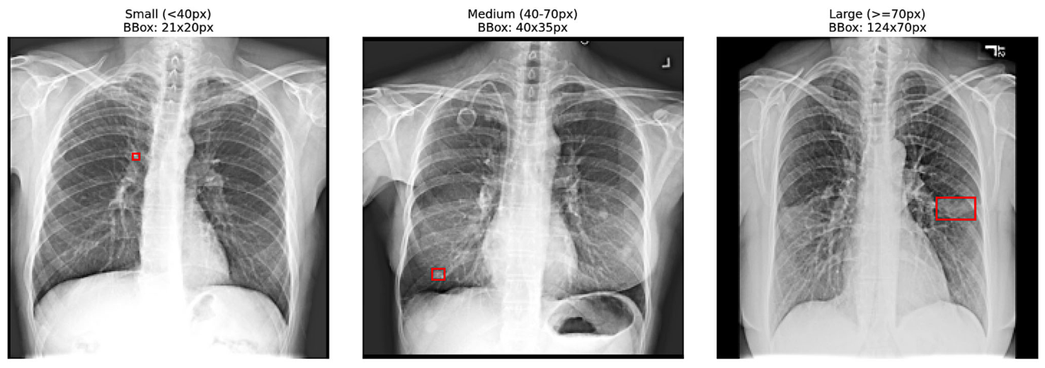 Diagnostics 16 01574 g003