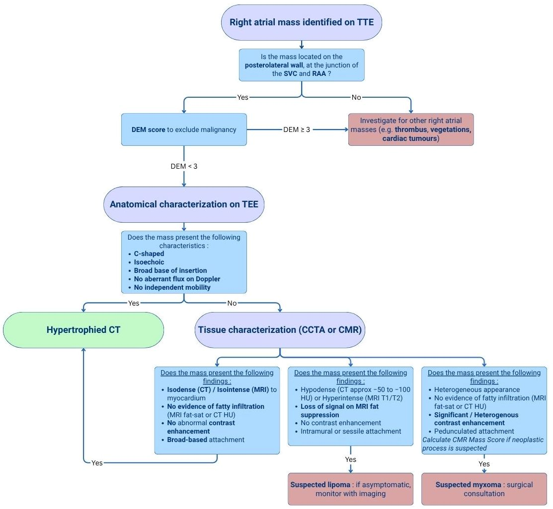 Diagnostics 16 01615 g007 Diagnostics 16 01615 g007