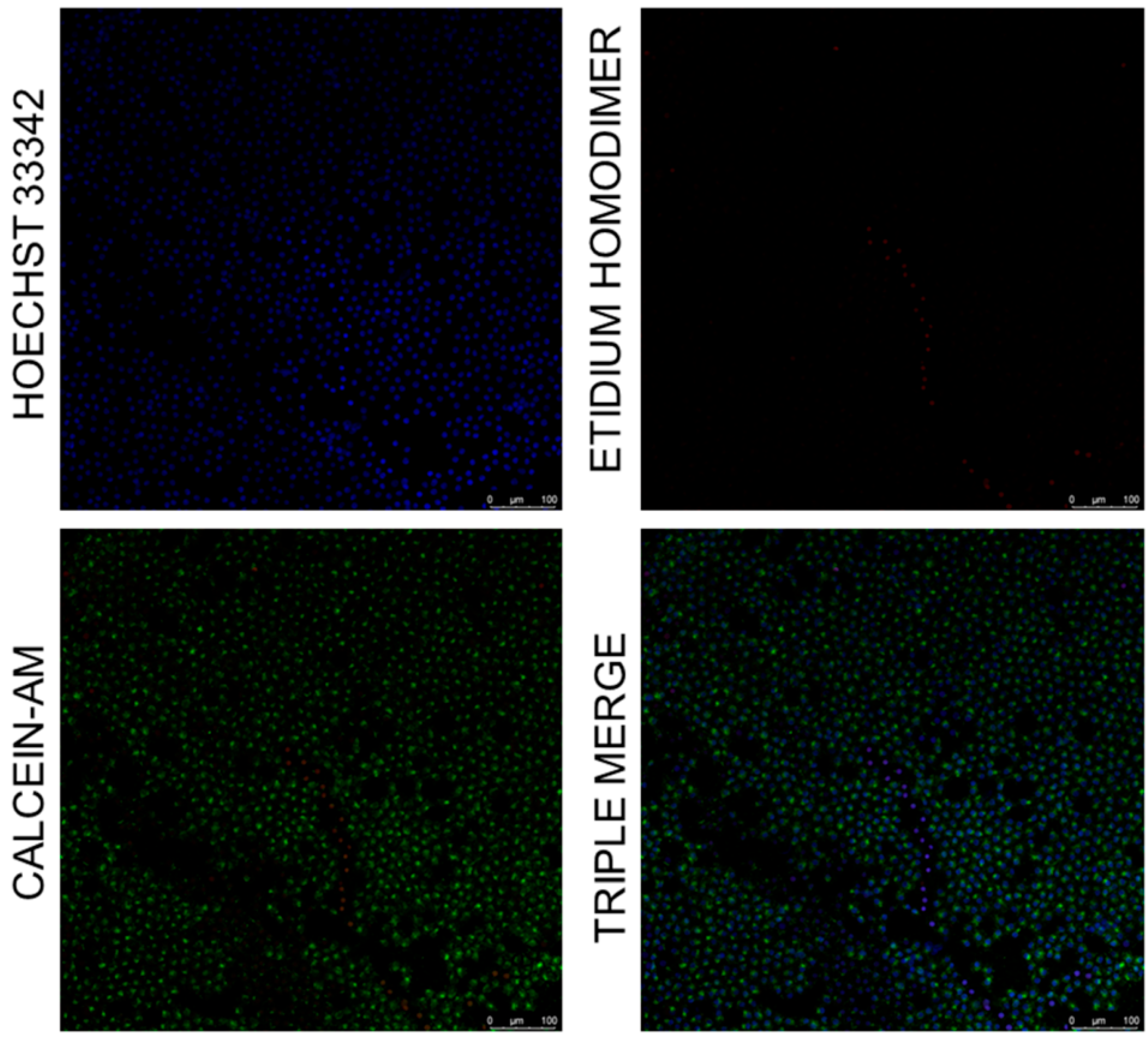 Diagnostics 16 01660 g003