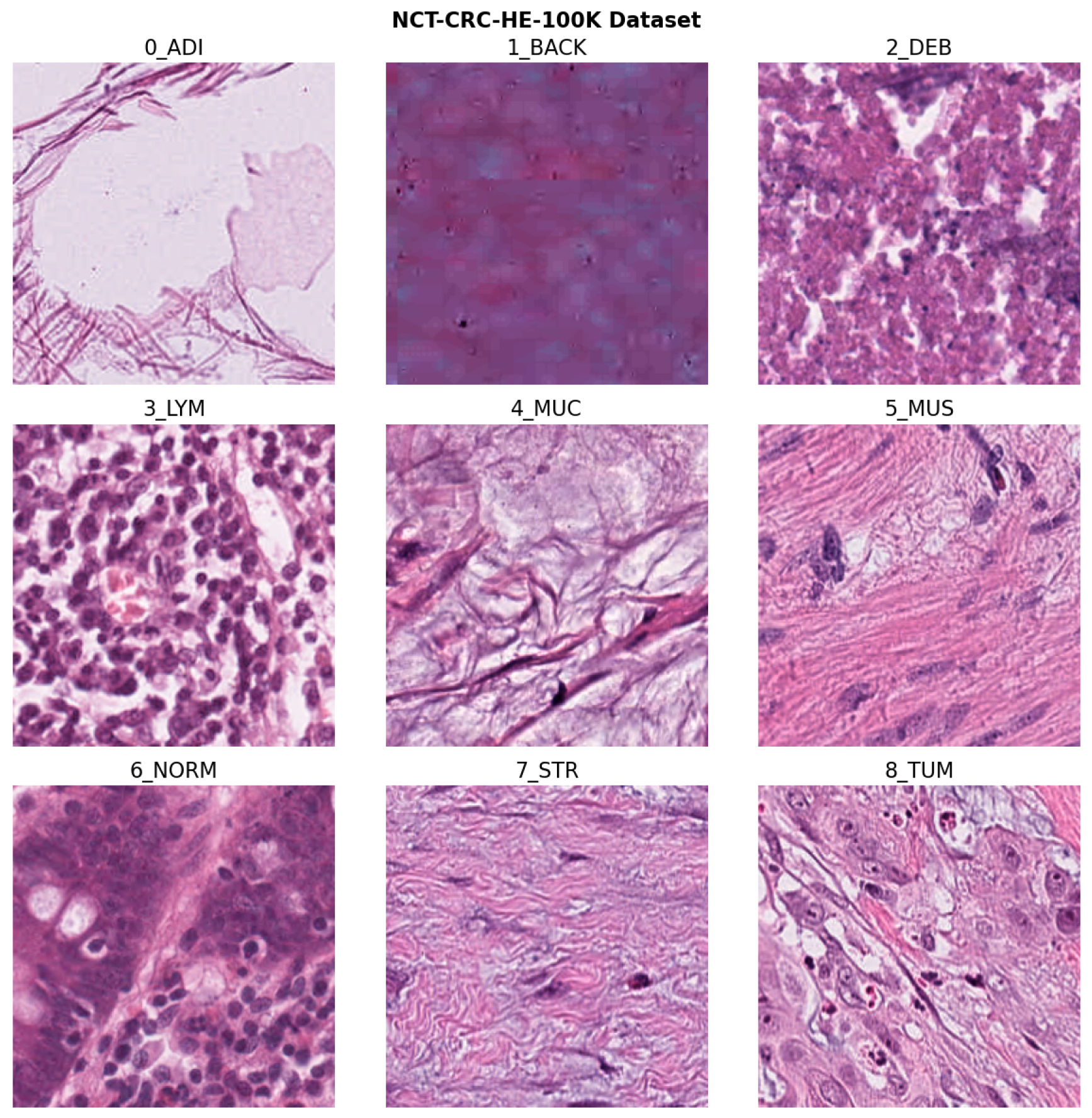 Diagnostics 16 01711 g002