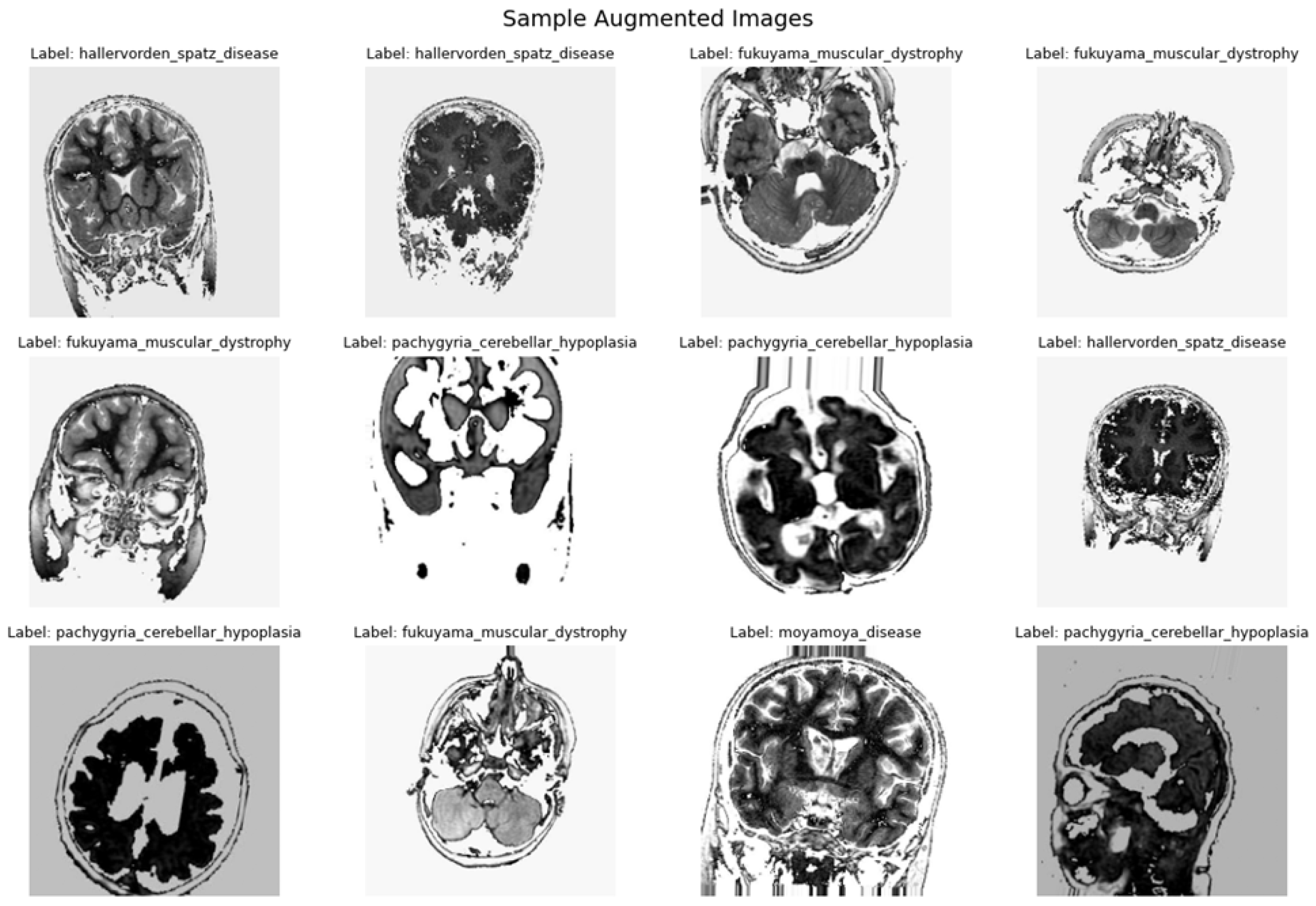 Diagnostics 16 01749 g002