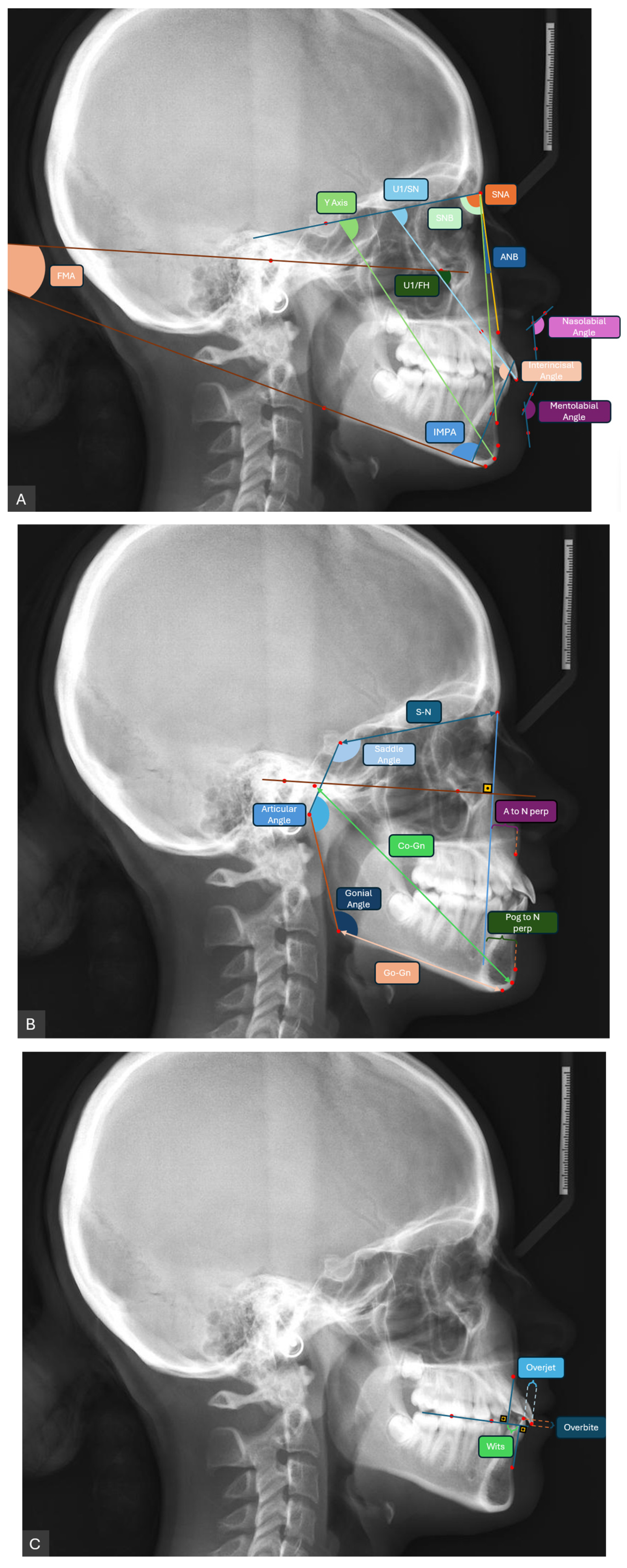 Diagnostics 16 01836 g002