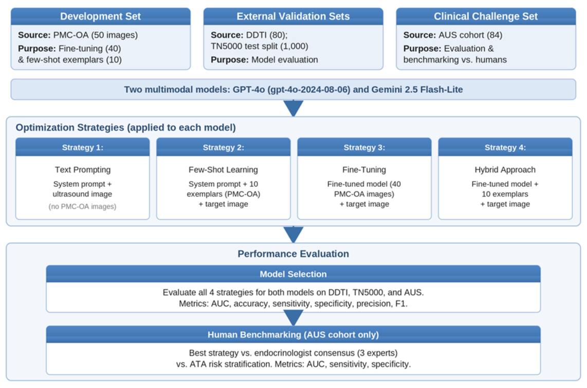 Diagnostics 16 01931 g001