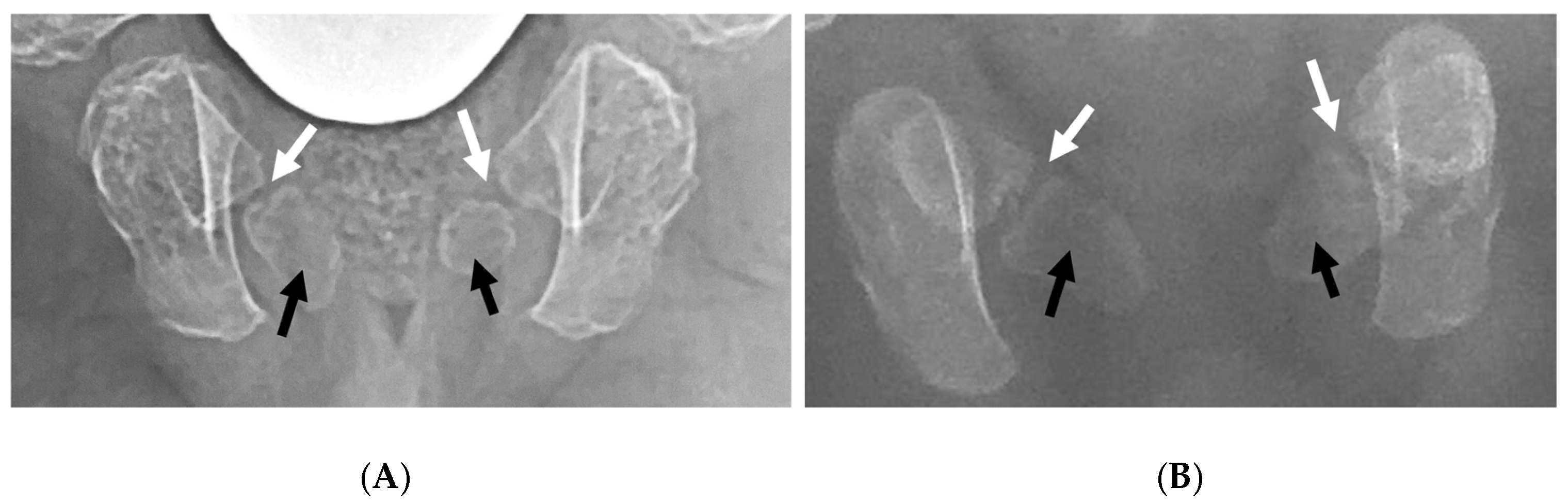 Diagnostics 16 01955 g002